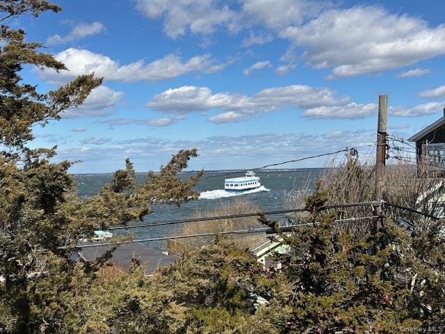 #3 photo, 154 Doctors Walk, Саффолк ‖ Cherry Grove , NY 11782