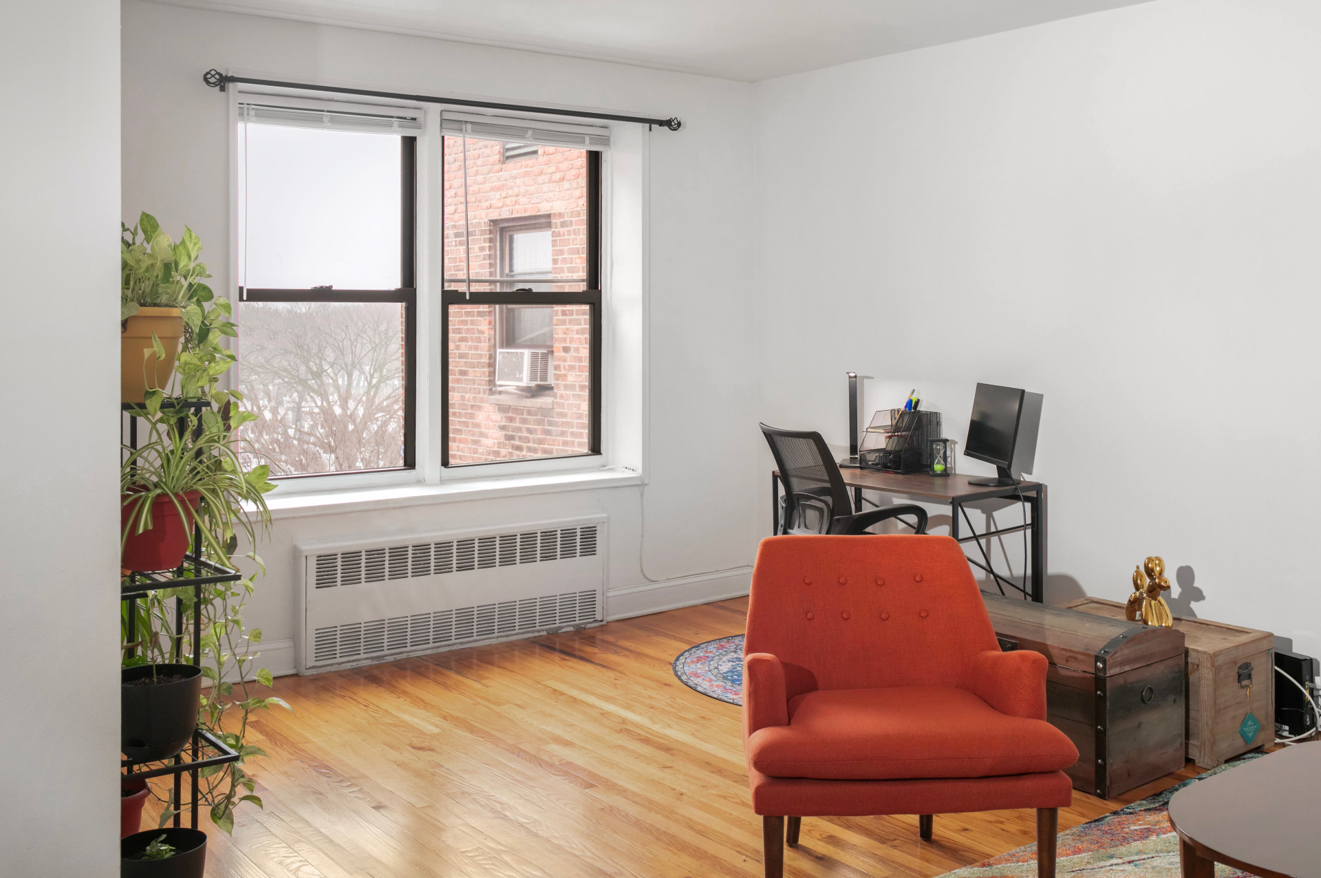 #15 photo, 3500 Snyder Avenue, East Flatbush , NY 11203