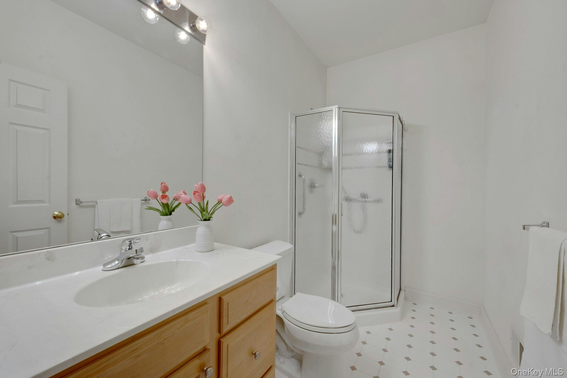 #14 photo, 8 Justine Court, Briarcliff Manor , NY 10510