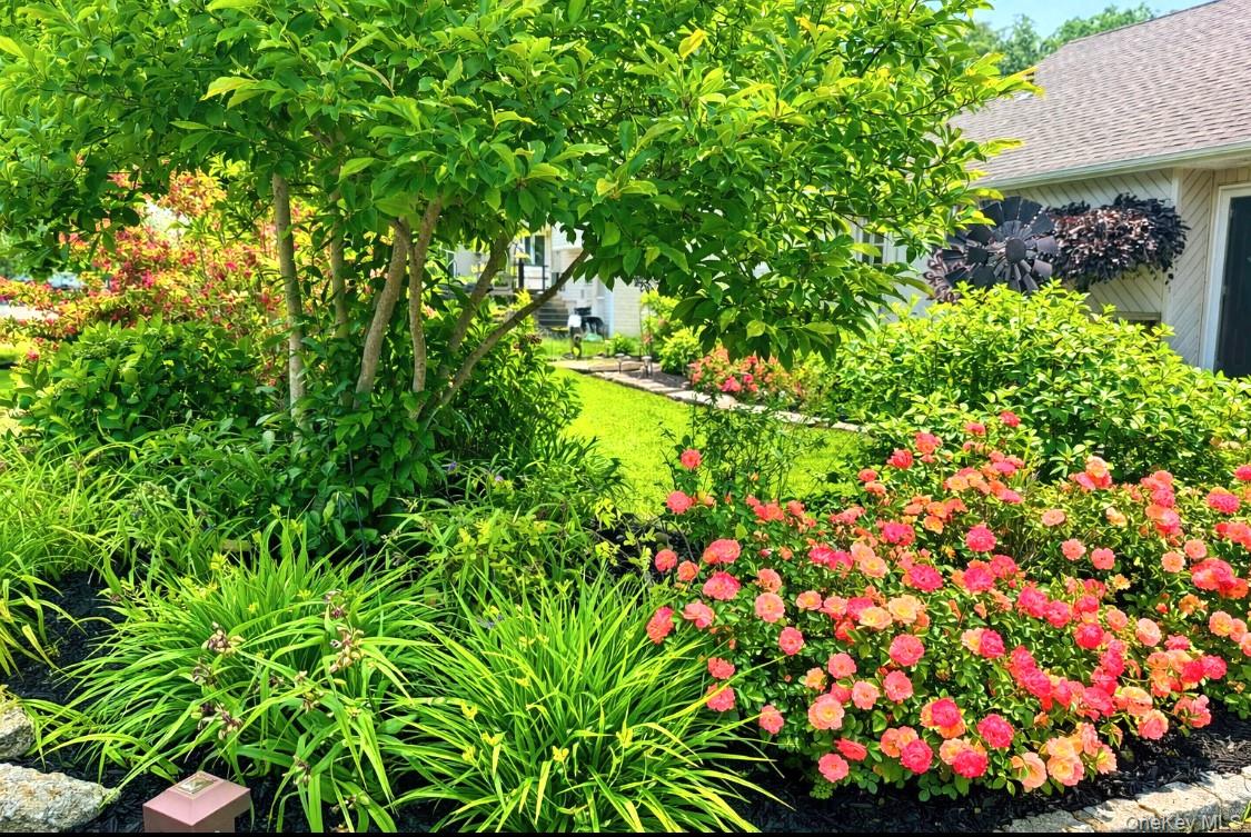 #7 photo, 628 Peter Paul Drive, 東長島 West Islip , NY 11795