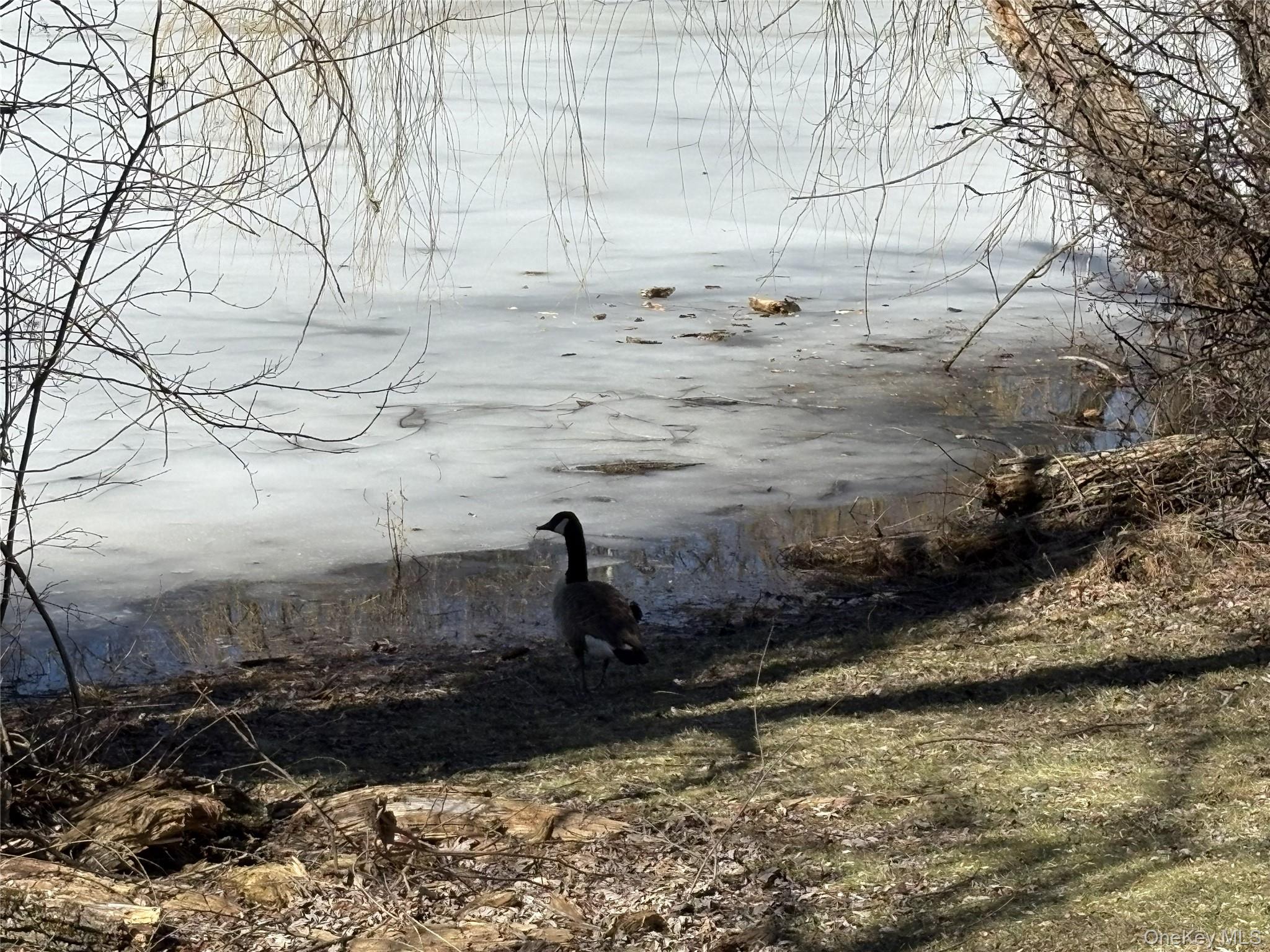 #8 photo, 40 Scarborough Lane, Wappingers Falls , NY 12590