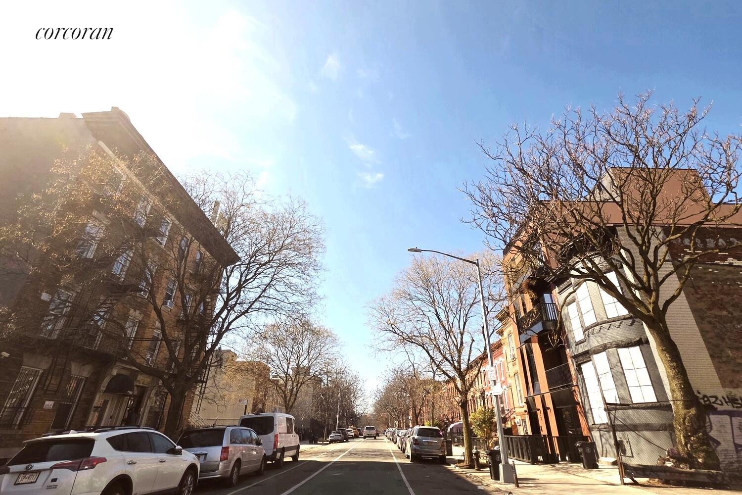 #3 photo, Brooklyn, Бруклин ‖ Crown Heights , NY 11213