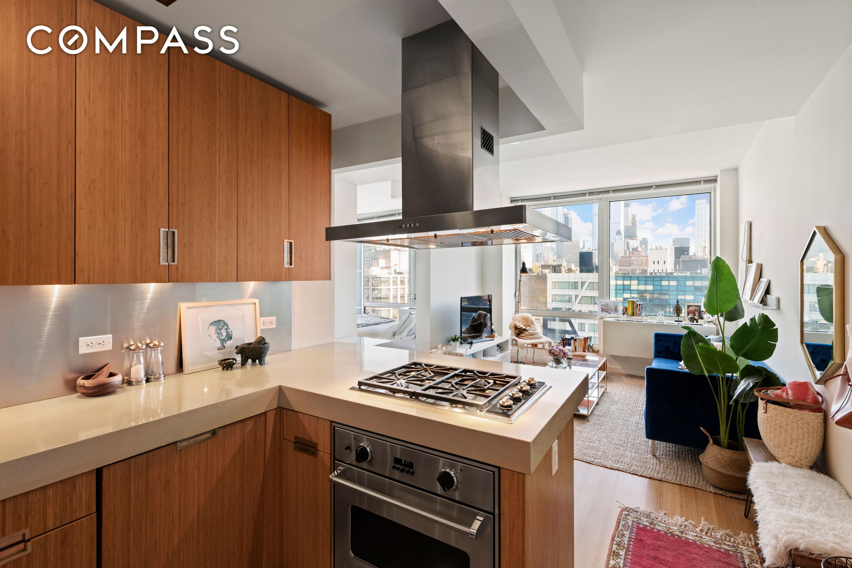 #4 photo, 450 W 17th Street, 曼哈顿 Chelsea , NY 10011