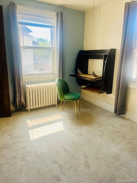 #8 photo, 10922 Myrtle Avenue, Куинс ‖ Richmond Hill North , NY 11418