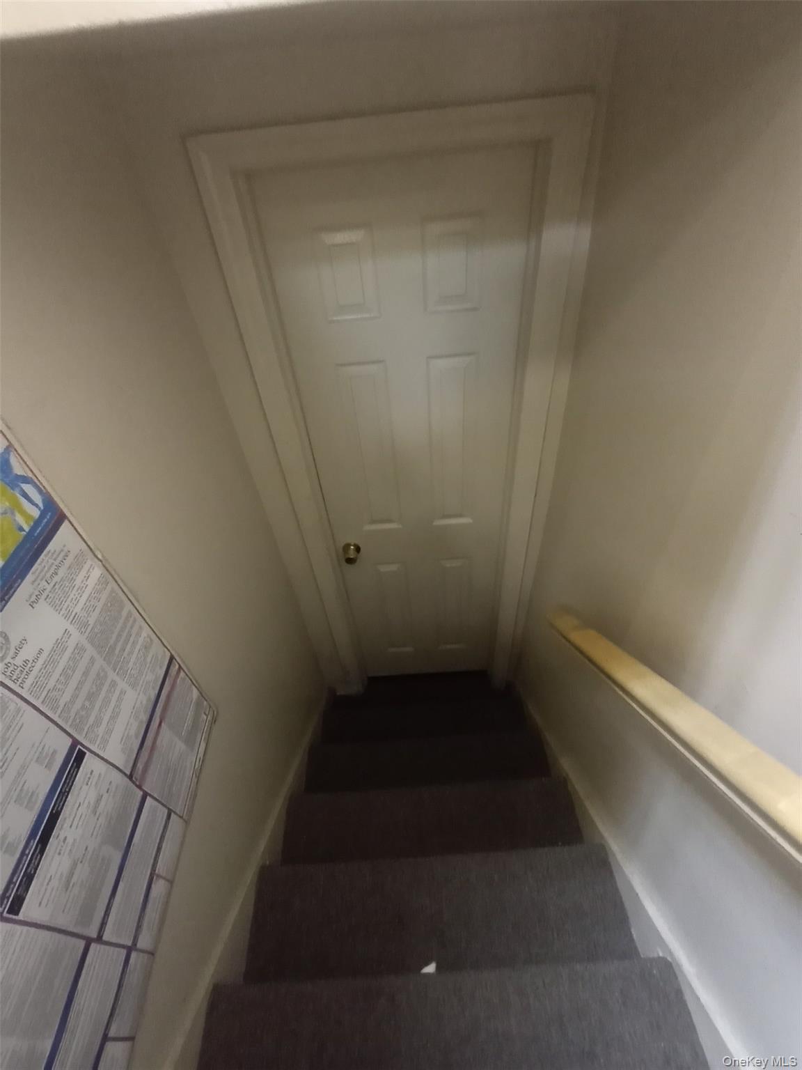 #12 photo, 43-50 42ND Street, קווינס Sunnyside , NY 11104