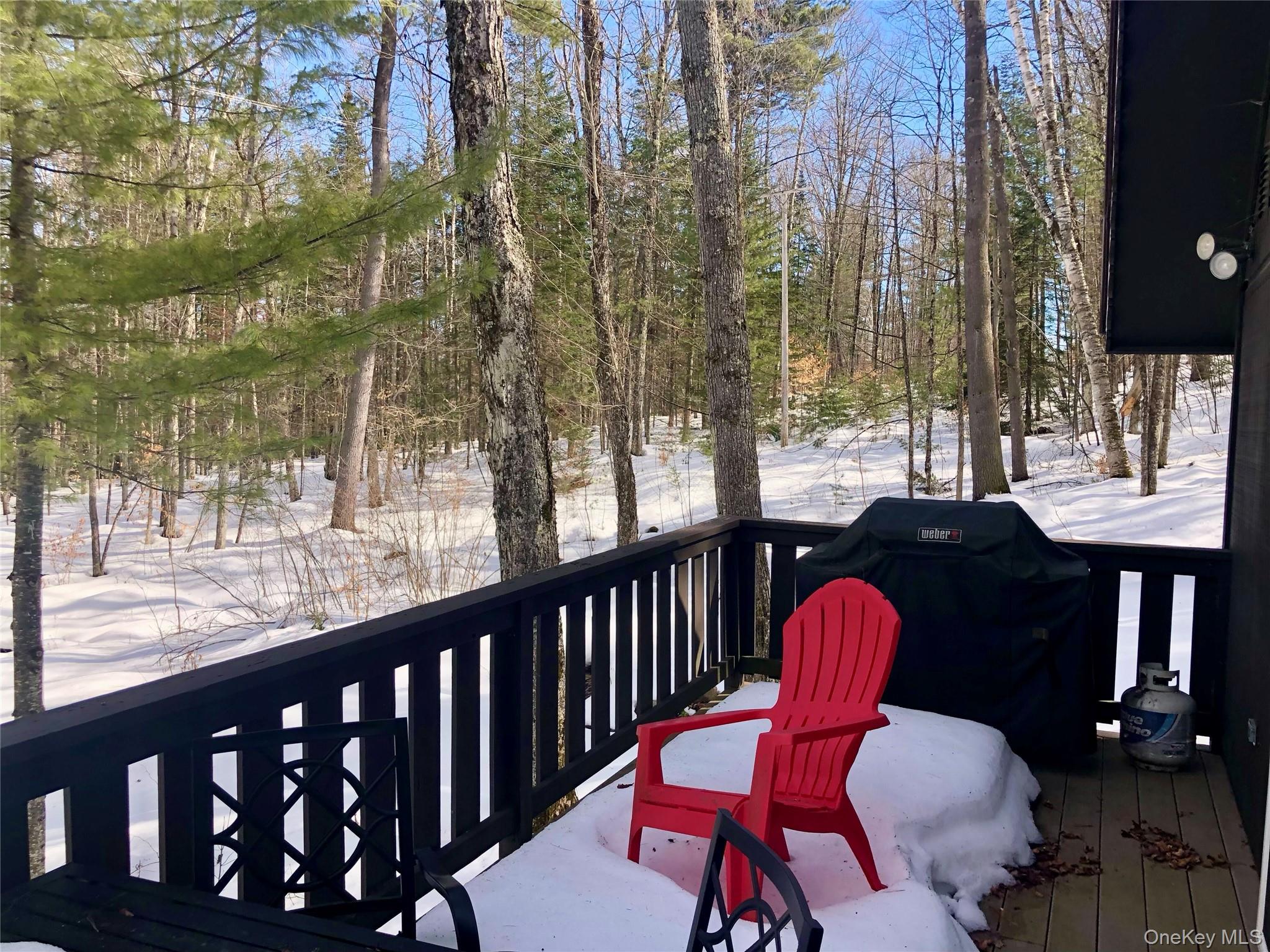 #16 photo, 34 Park Road, Call Listing Agent , NY 12843