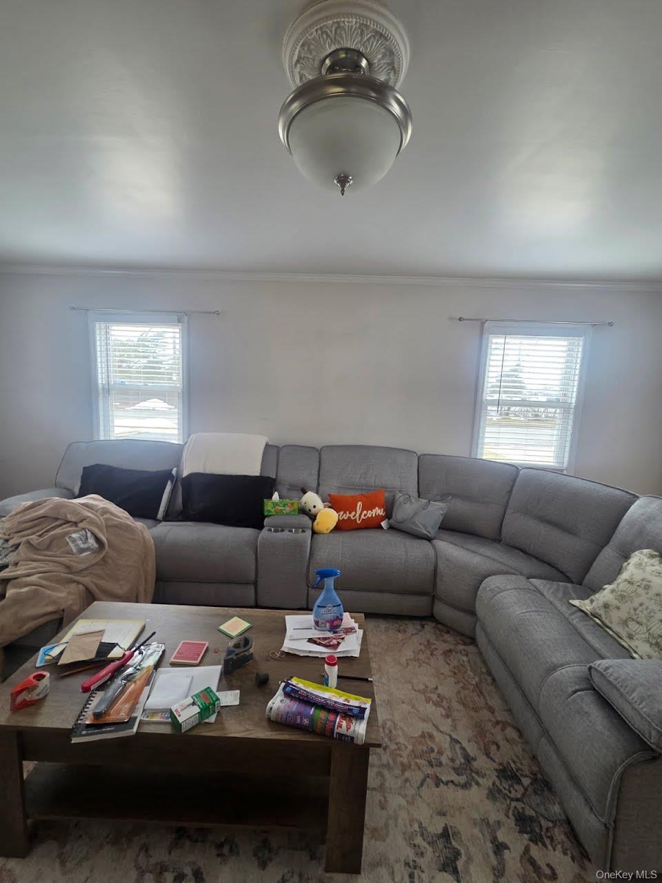 #7 photo, 42 Sunset Drive, Hempstead , NY 11550