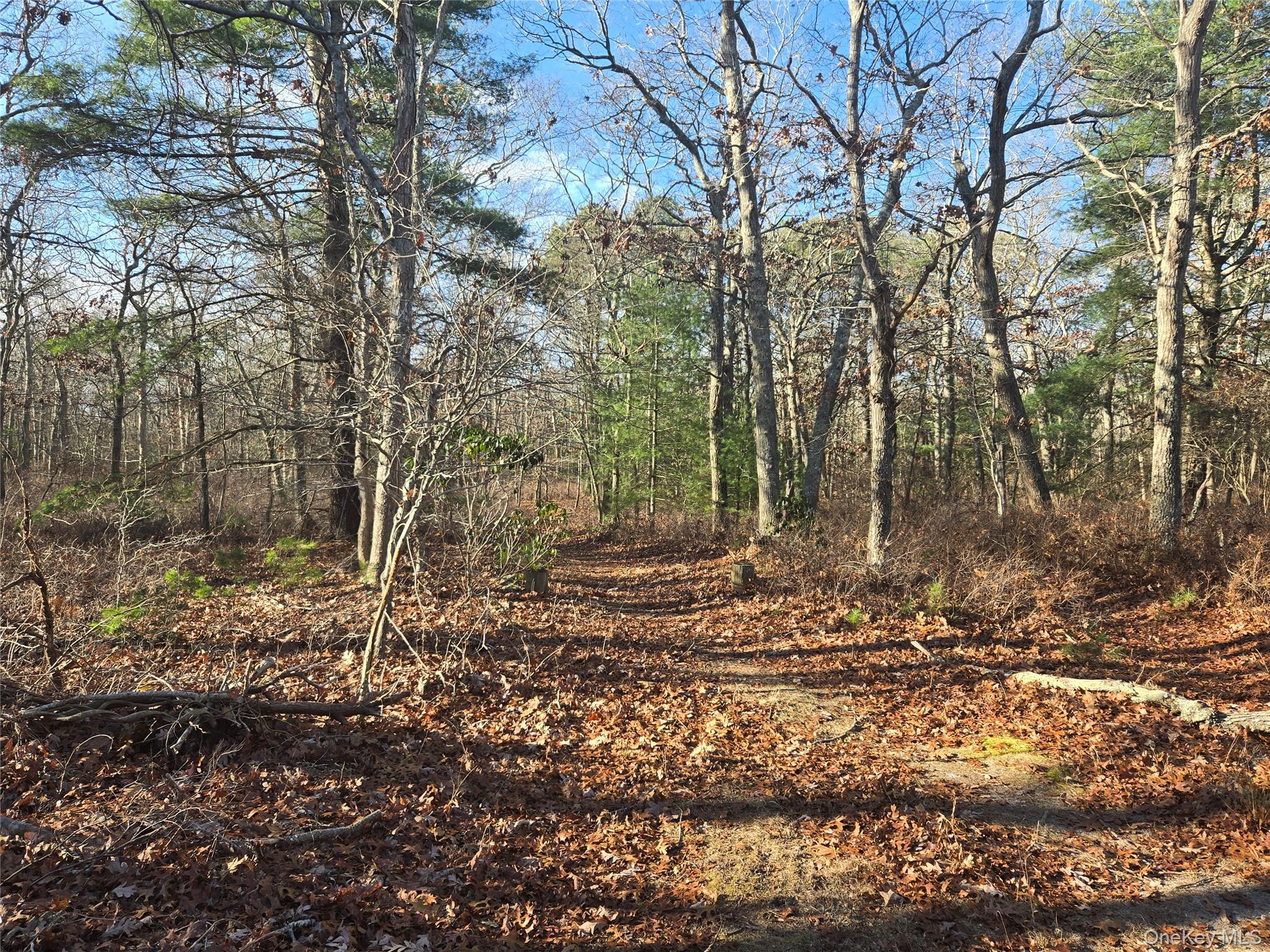 #3 photo, 68 Big Fresh Pond Road, Саффолк ‖ Southampton , NY 11968