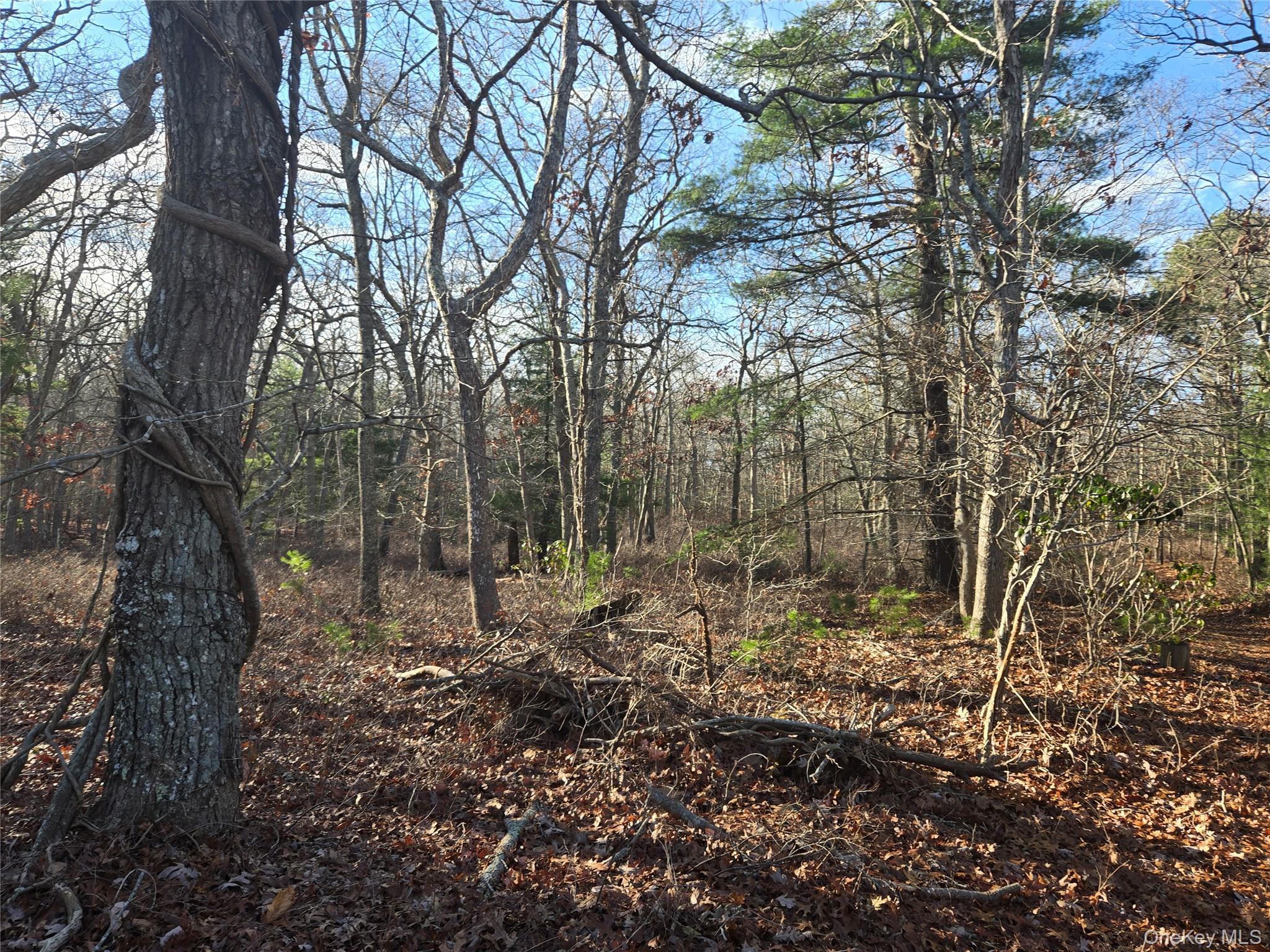 #4 photo, 68 Big Fresh Pond Road, Саффолк ‖ Southampton , NY 11968