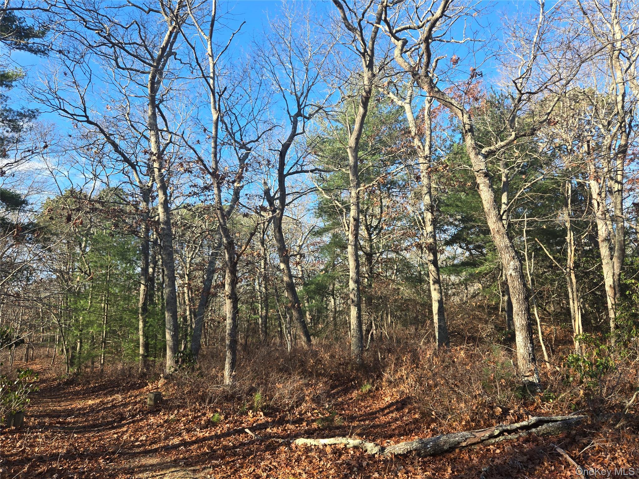 #5 photo, 68 Big Fresh Pond Road, Саффолк ‖ Southampton , NY 11968