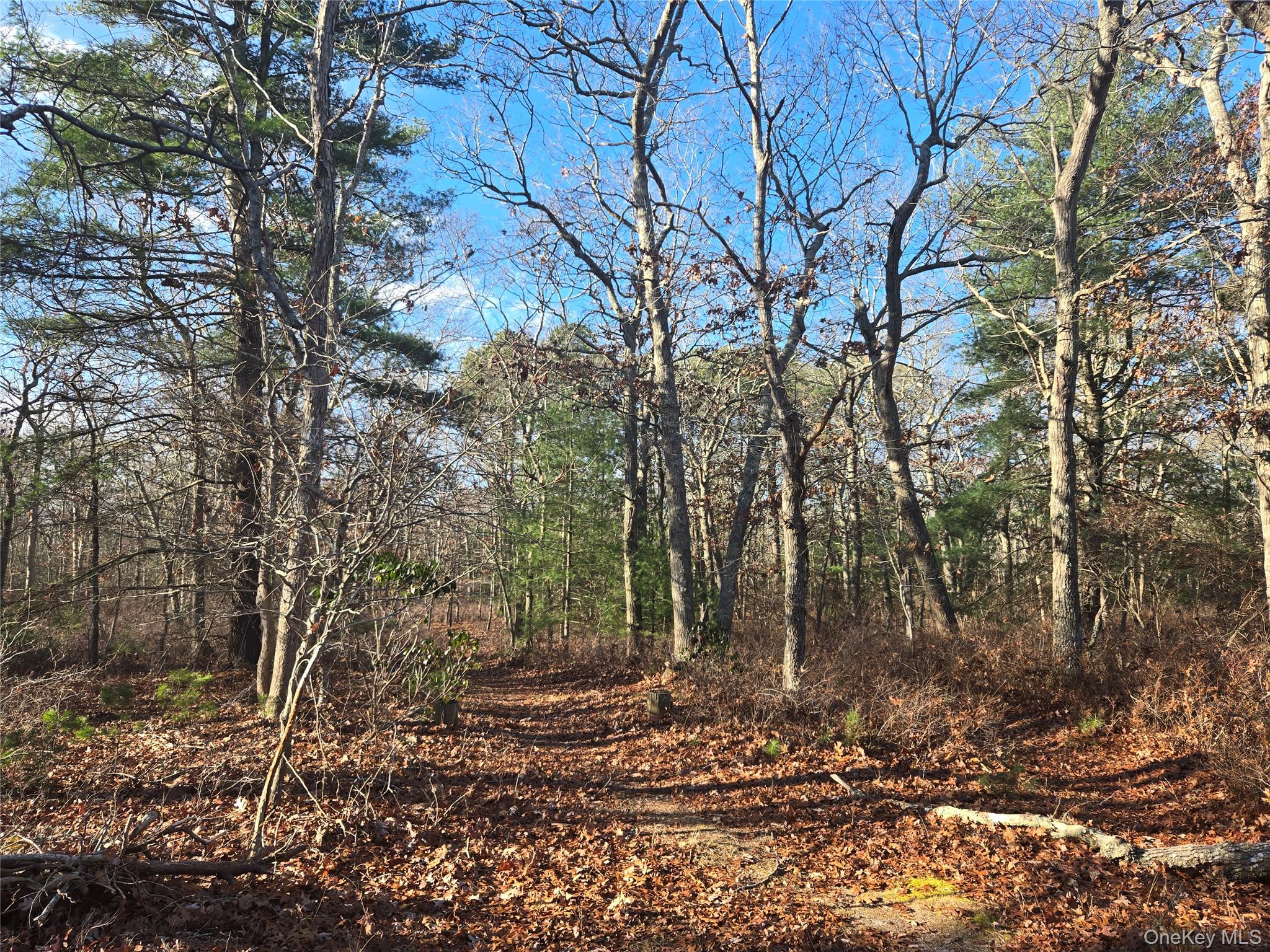 #6 photo, 68 Big Fresh Pond Road, Саффолк ‖ Southampton , NY 11968