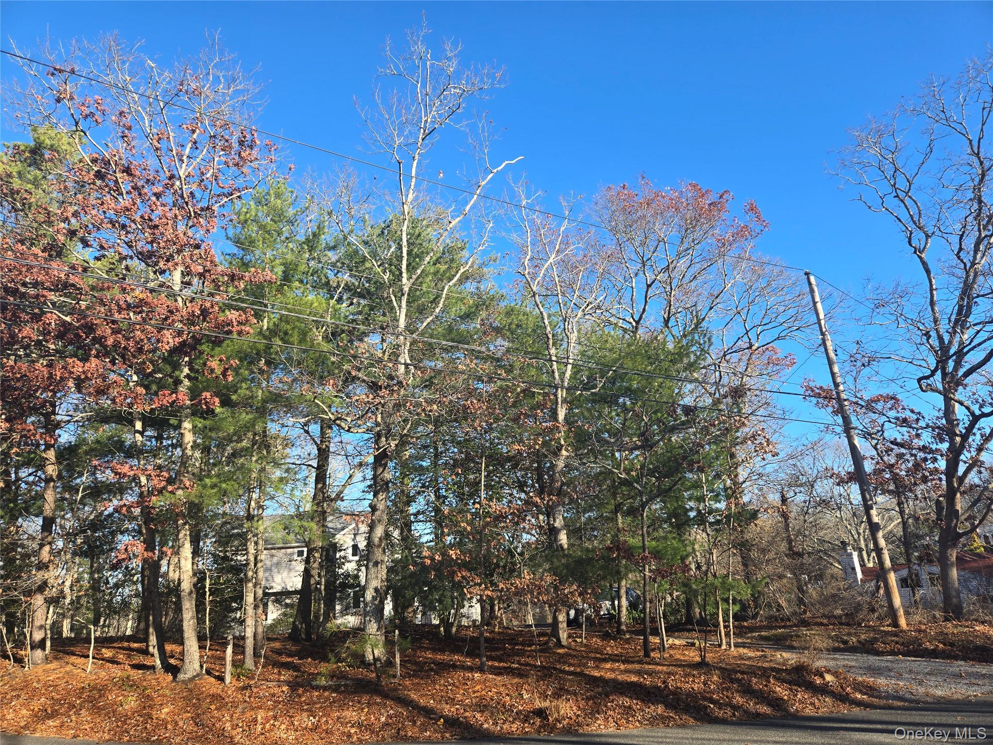 #7 photo, 68 Big Fresh Pond Road, Саффолк ‖ Southampton , NY 11968