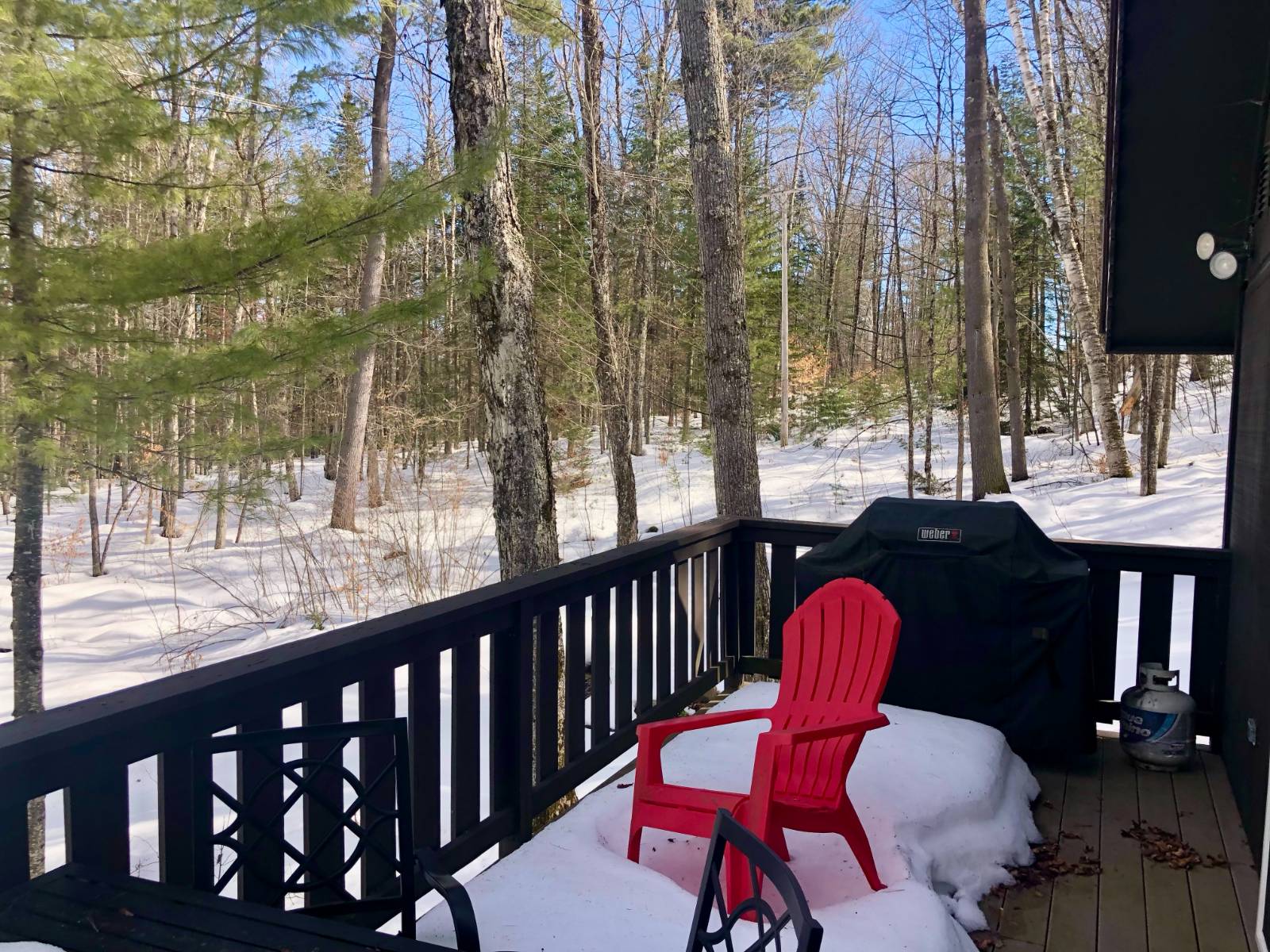 #21 photo, 34 Park Rd, Johnsburg , NY 12843