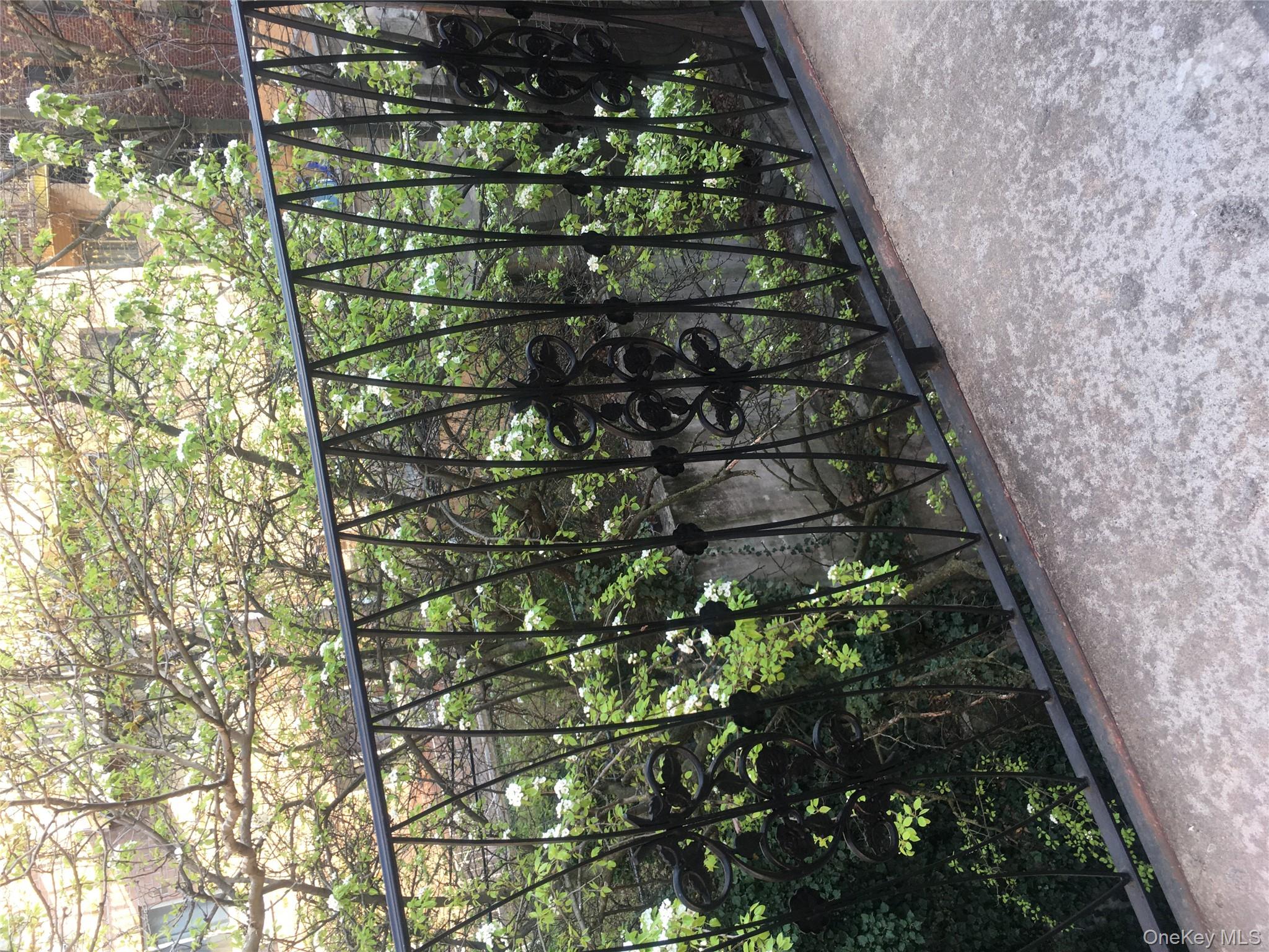 #9 photo, 14144 84th Road, Куинс ‖ Jamaica , NY 11435