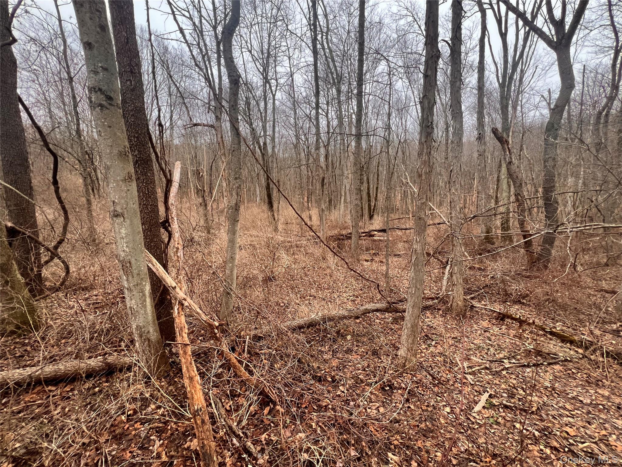 #10 photo, 2413 Route 44, Salt Point , NY 12578