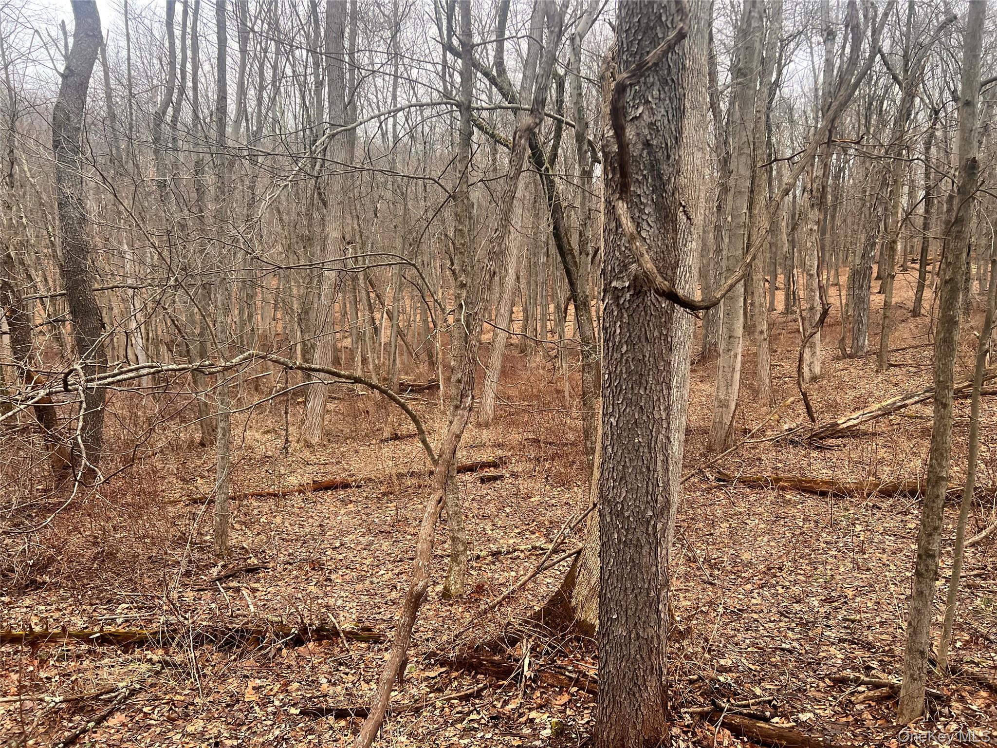 #11 photo, 2413 Route 44, Salt Point , NY 12578