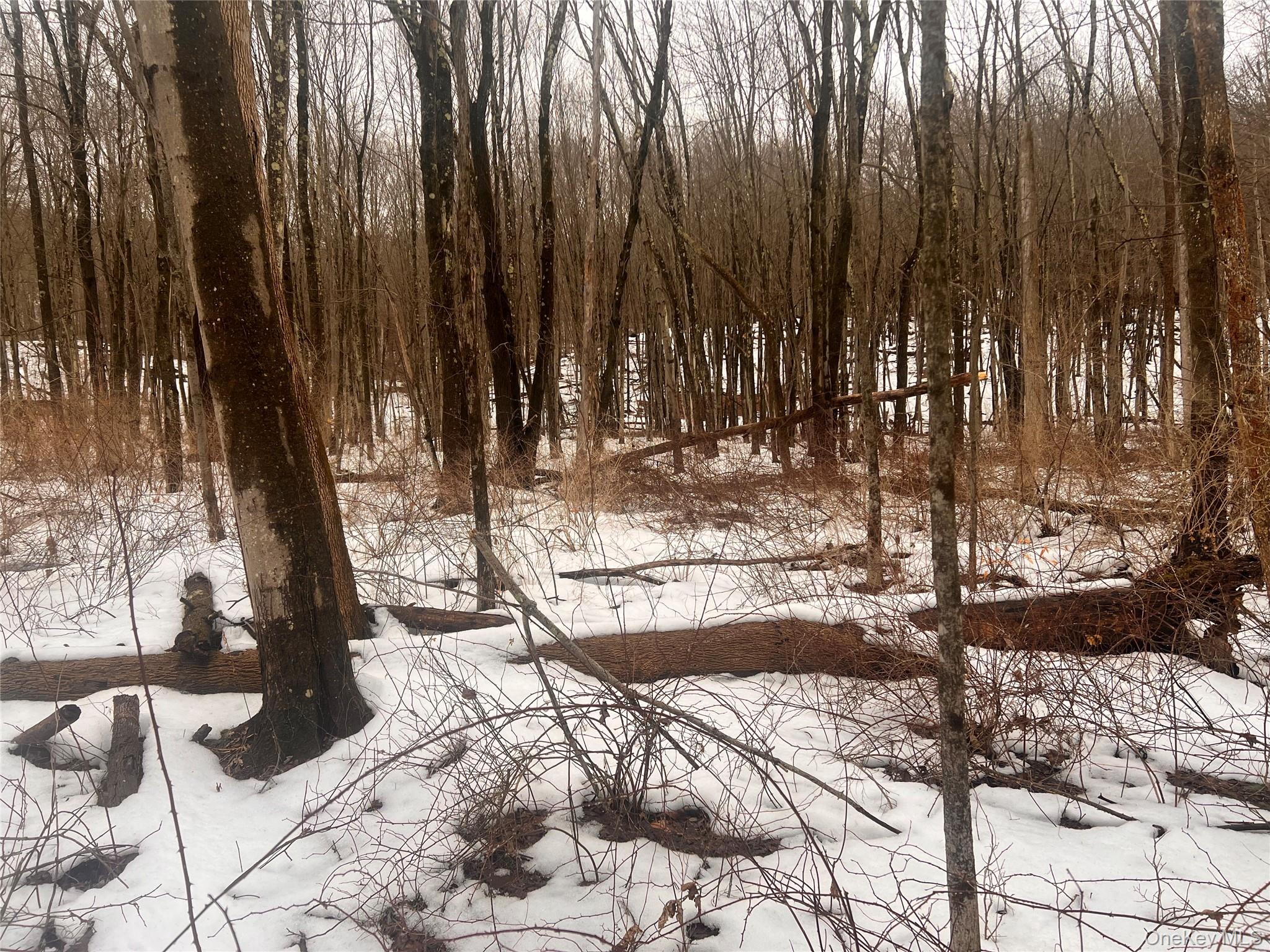 #5 photo, 2413 Route 44, Salt Point , NY 12578