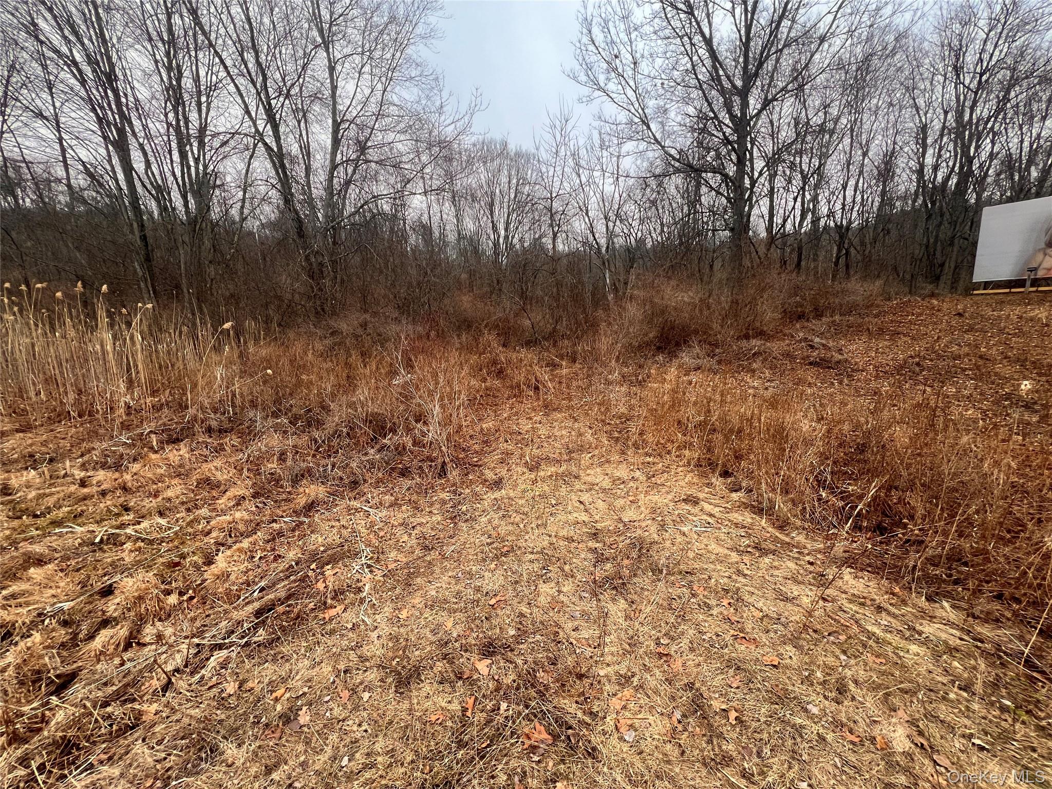 #9 photo, 2413 Route 44, Salt Point , NY 12578