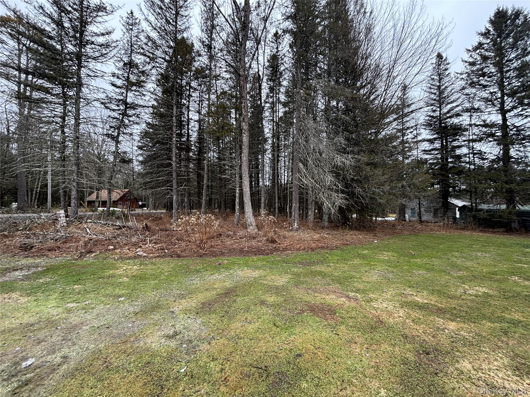 #9 photo, 130 Bushville Swan Lake Road, 뉴욕주 Ferndale , NY 12734