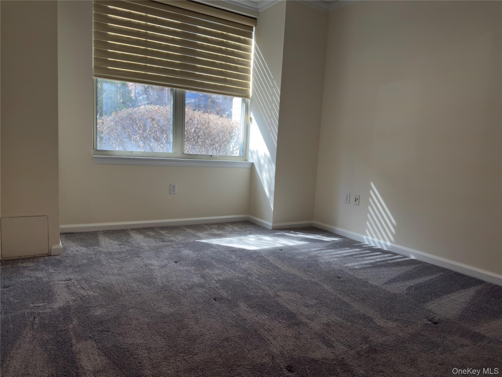 #14 photo, 300 Mamaroneck Avenue, 紐約州 White Plains , NY 10605