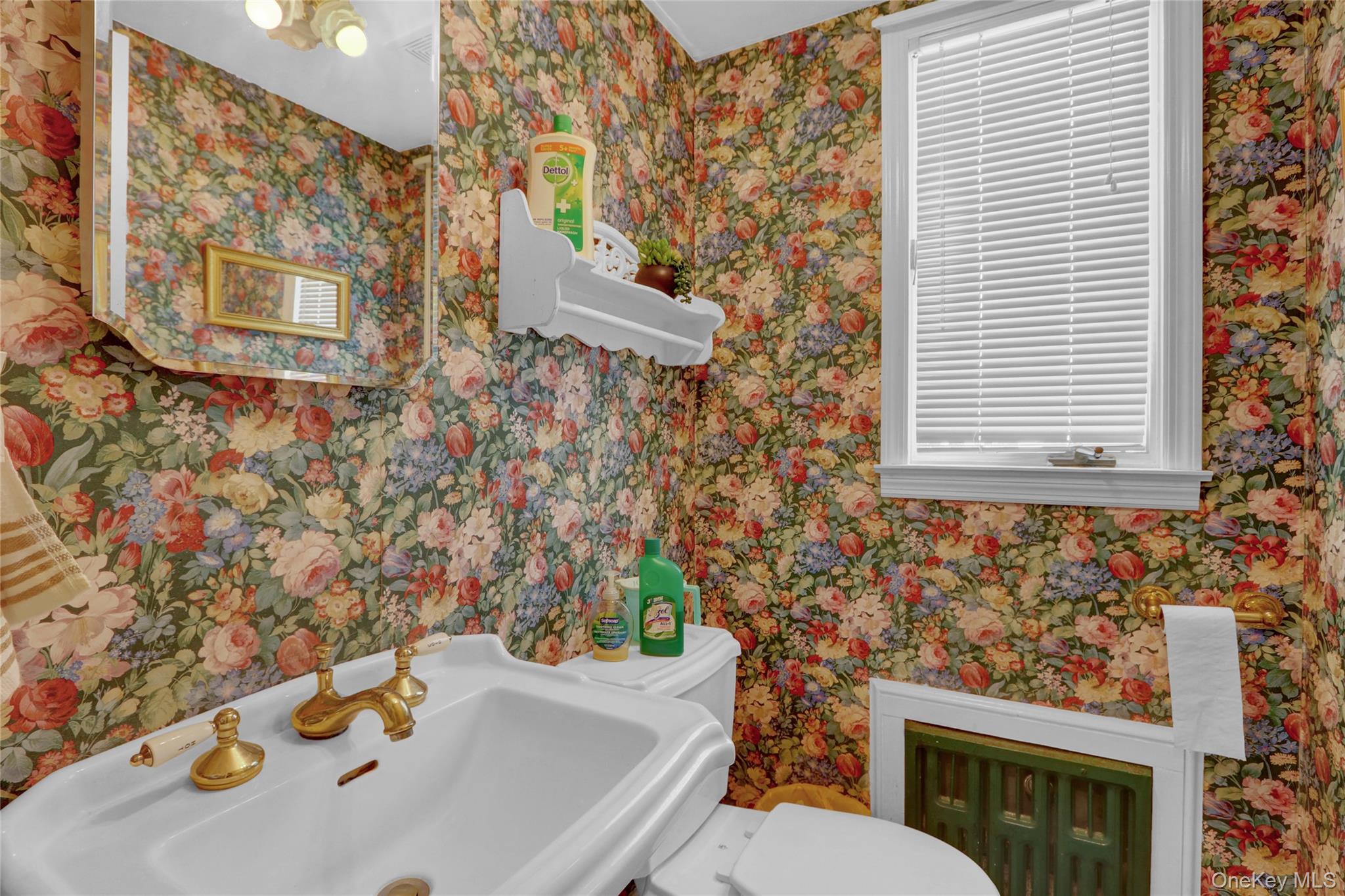 #13 photo, 121 6th Street, ناسو Hicksville , NY 11801