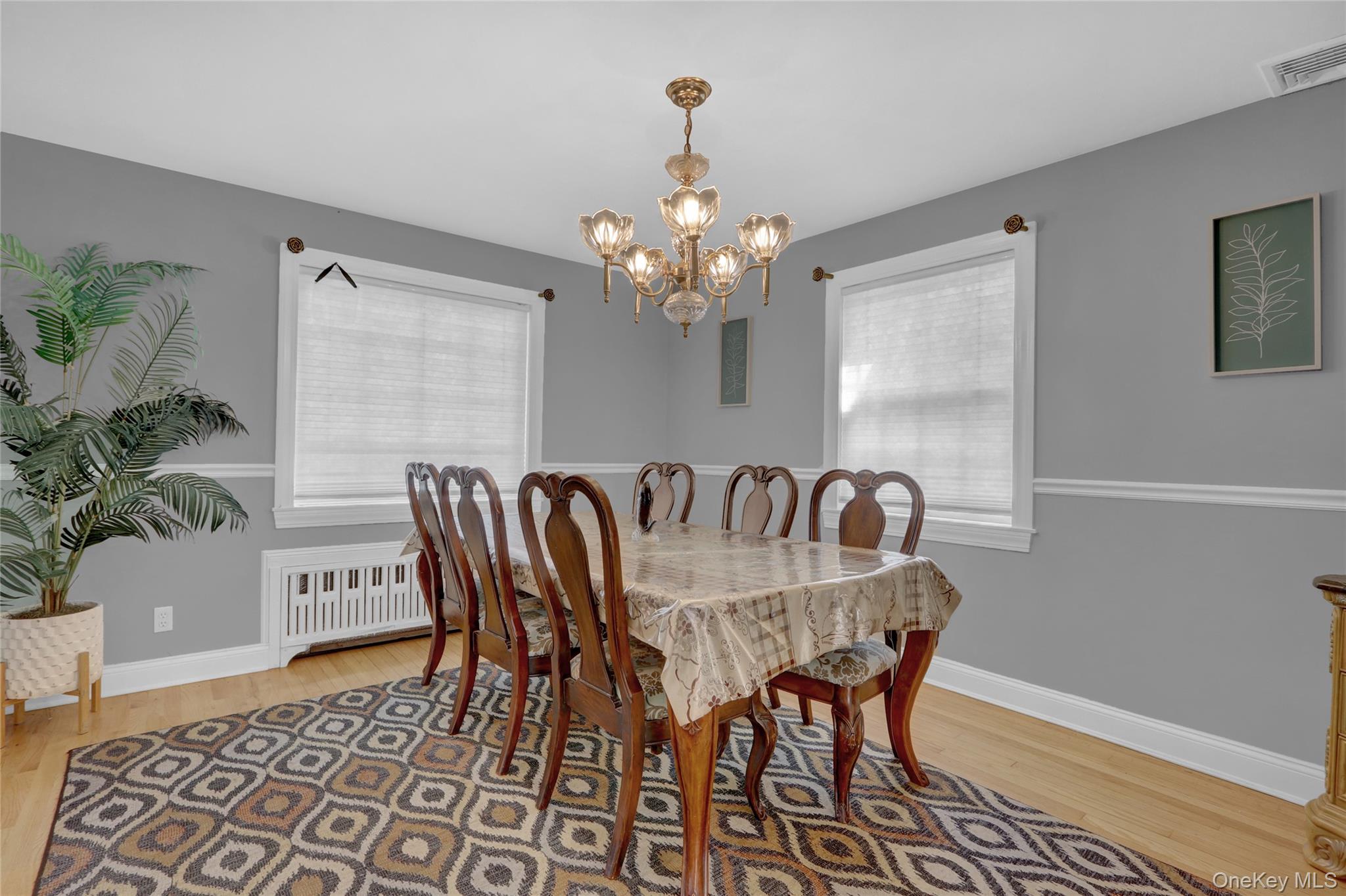 #8 photo, 121 6th Street, ناسو Hicksville , NY 11801