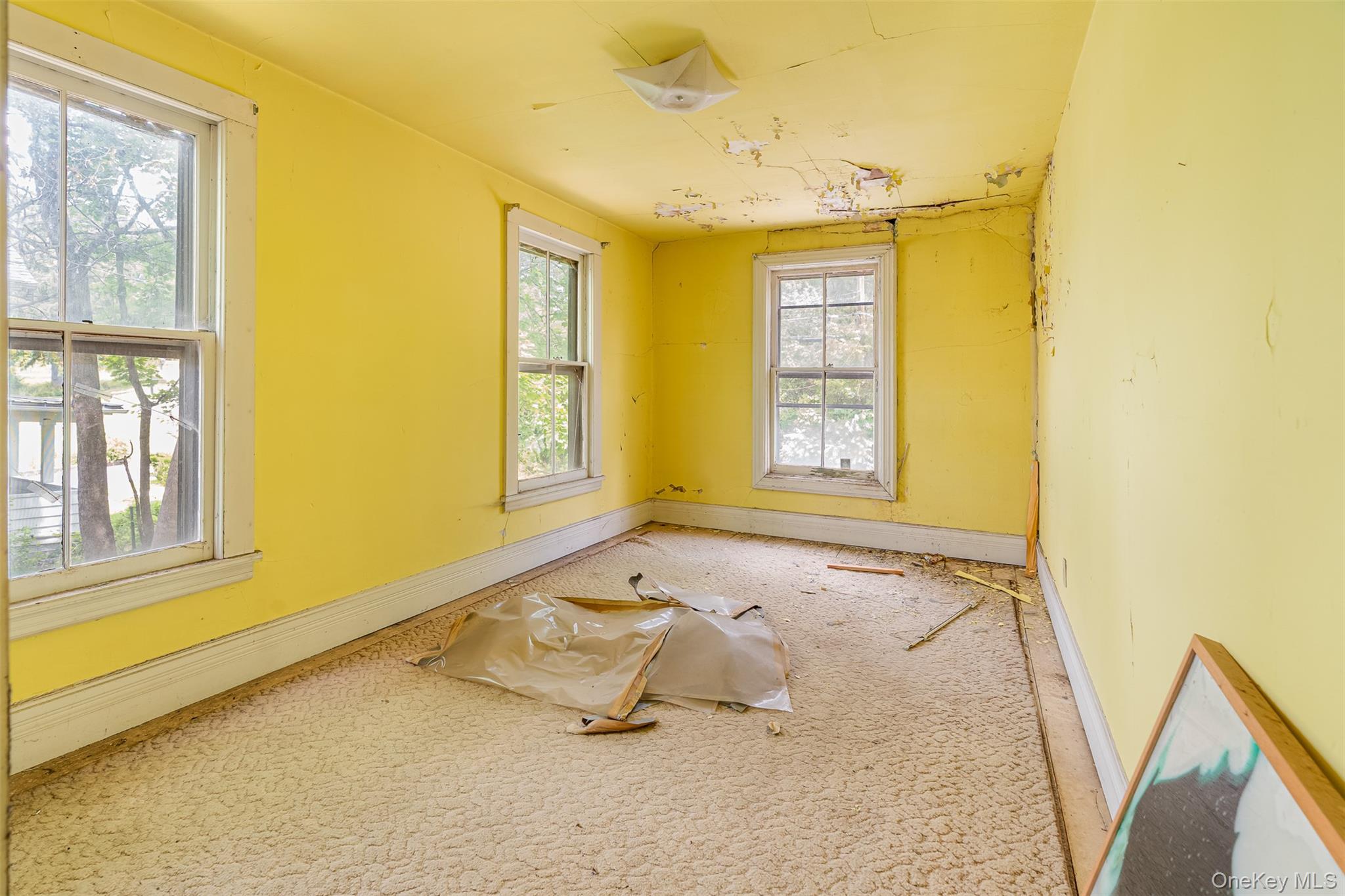 #19 photo, 50 Maple Street, 纽约州 Catskill , NY 12414