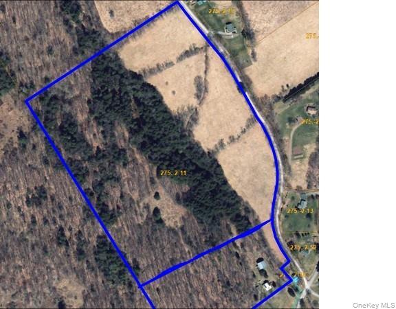 #1 photo, 275-1-11 Budine Hill Road, Walton , NY 13856
