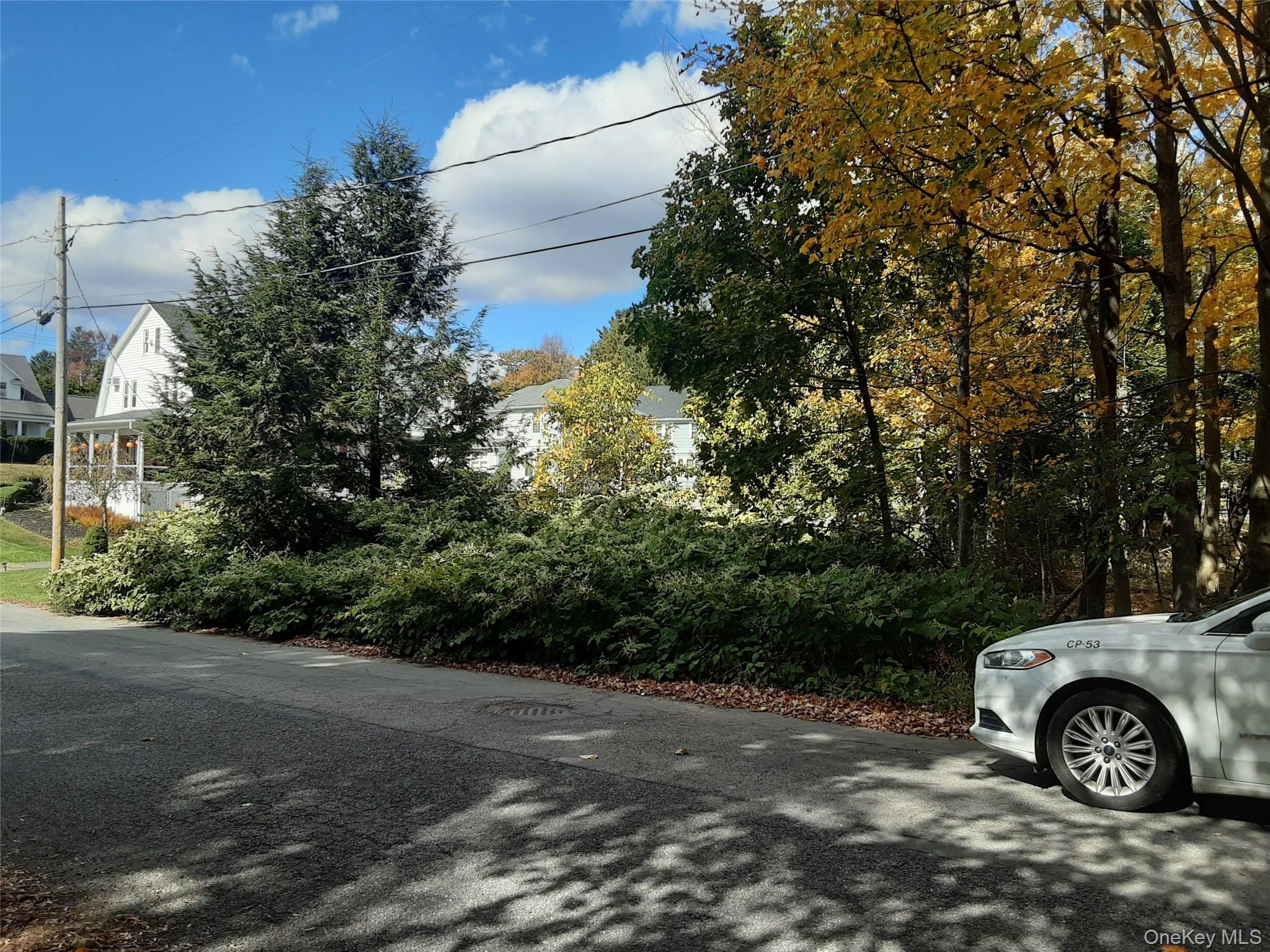 #1 photo, Woodland Avenue, Liberty , NY 12754