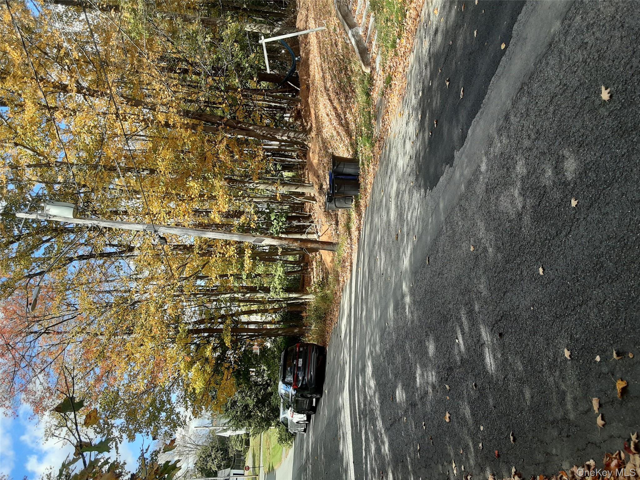 #2 photo, Woodland Avenue, Liberty , NY 12754