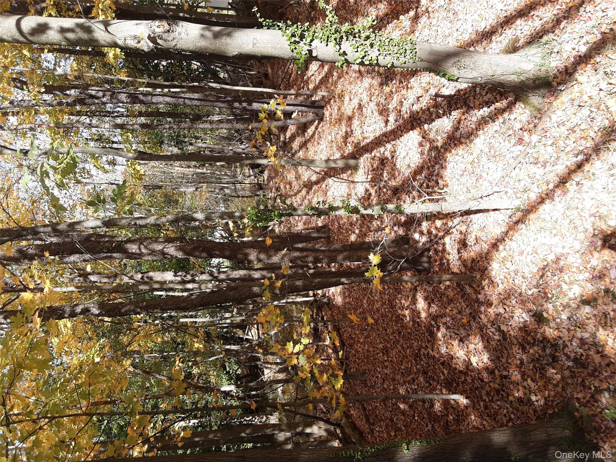 #3 photo, Woodland Avenue, Liberty , NY 12754