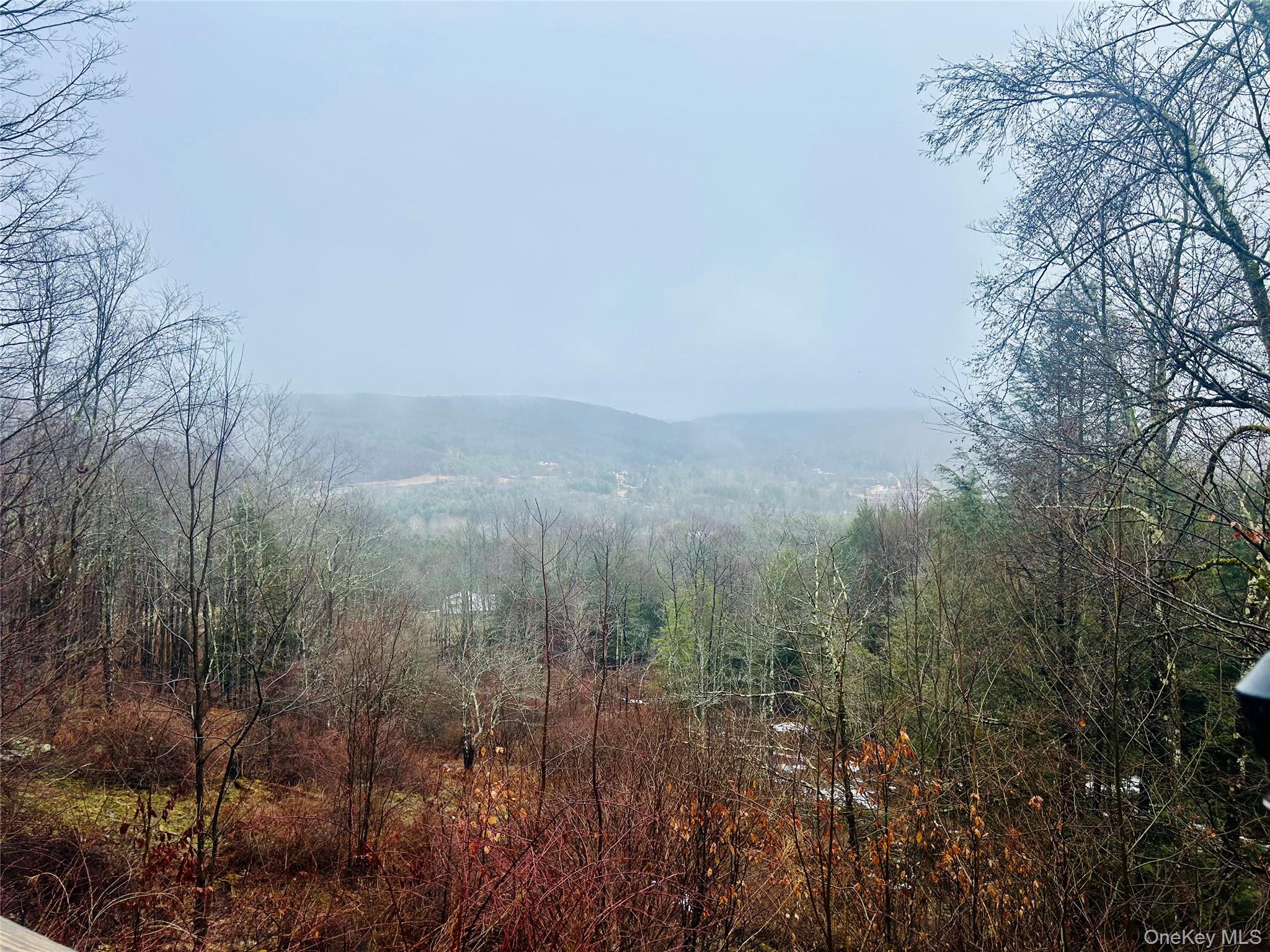 #1 photo, 395 Back Shandelee Road, 紐約州 Livingston Manor , NY 12758