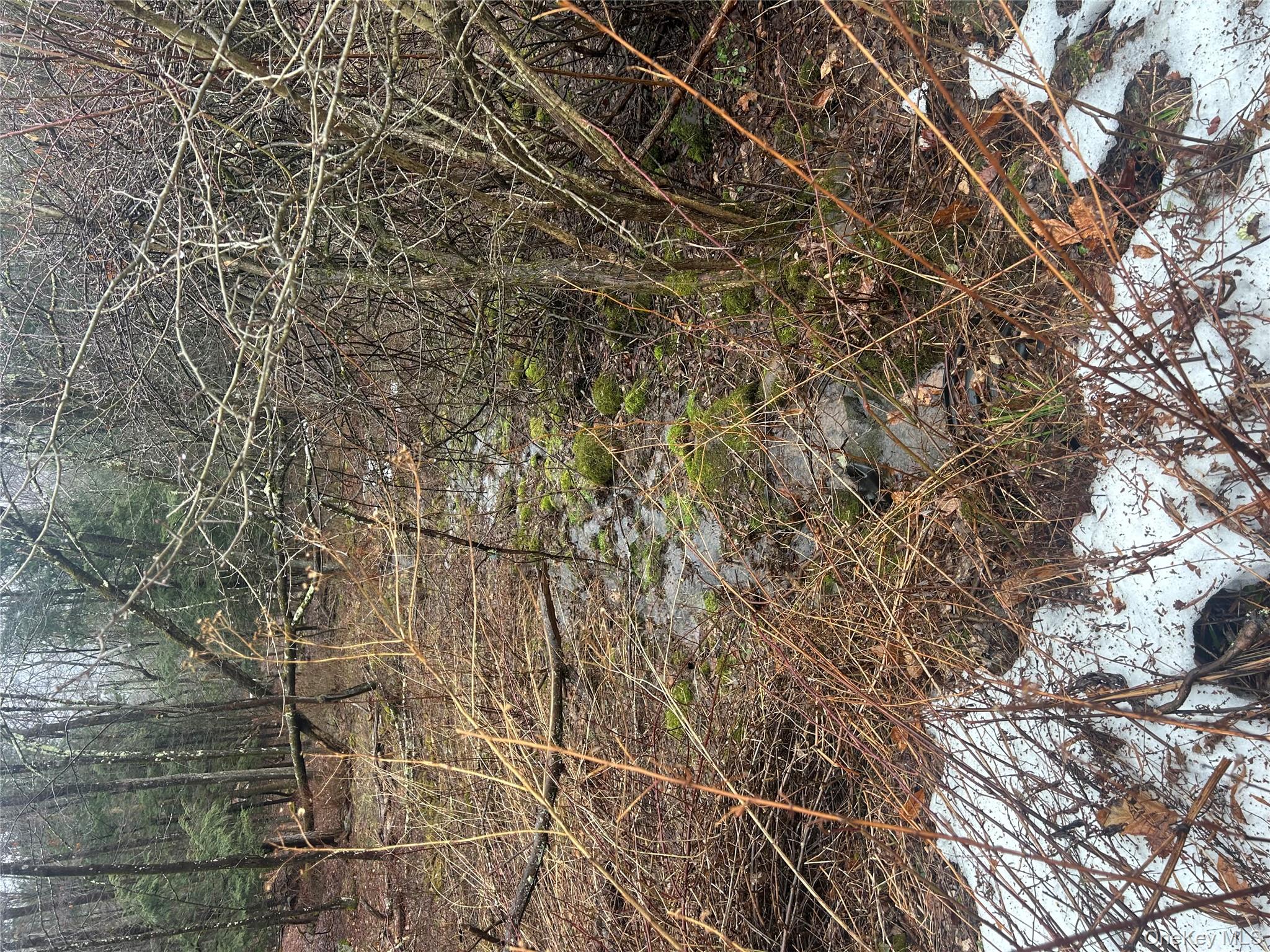 #2 photo, 395 Back Shandelee Road, 紐約州 Livingston Manor , NY 12758