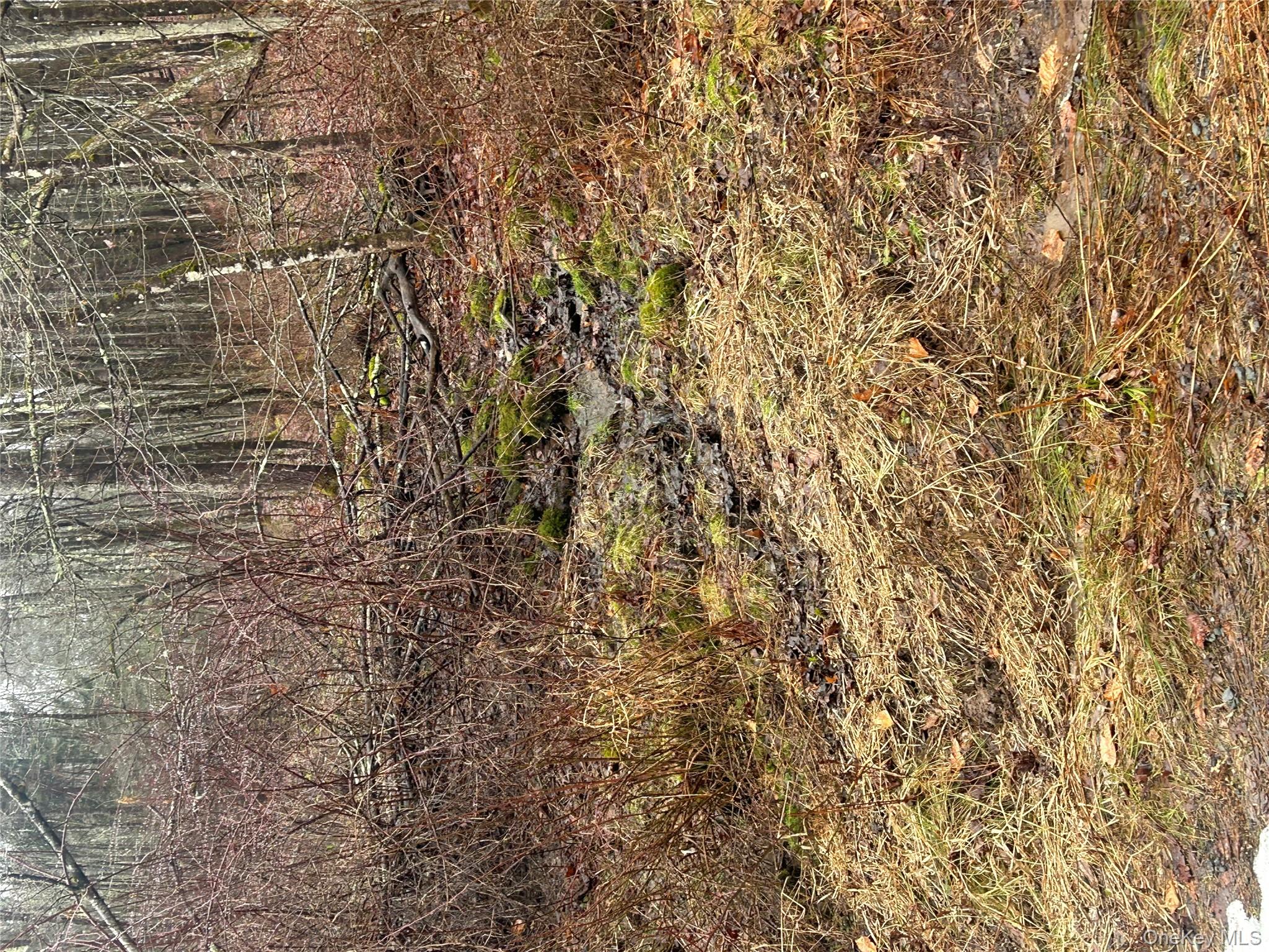 #3 photo, 395 Back Shandelee Road, 紐約州 Livingston Manor , NY 12758