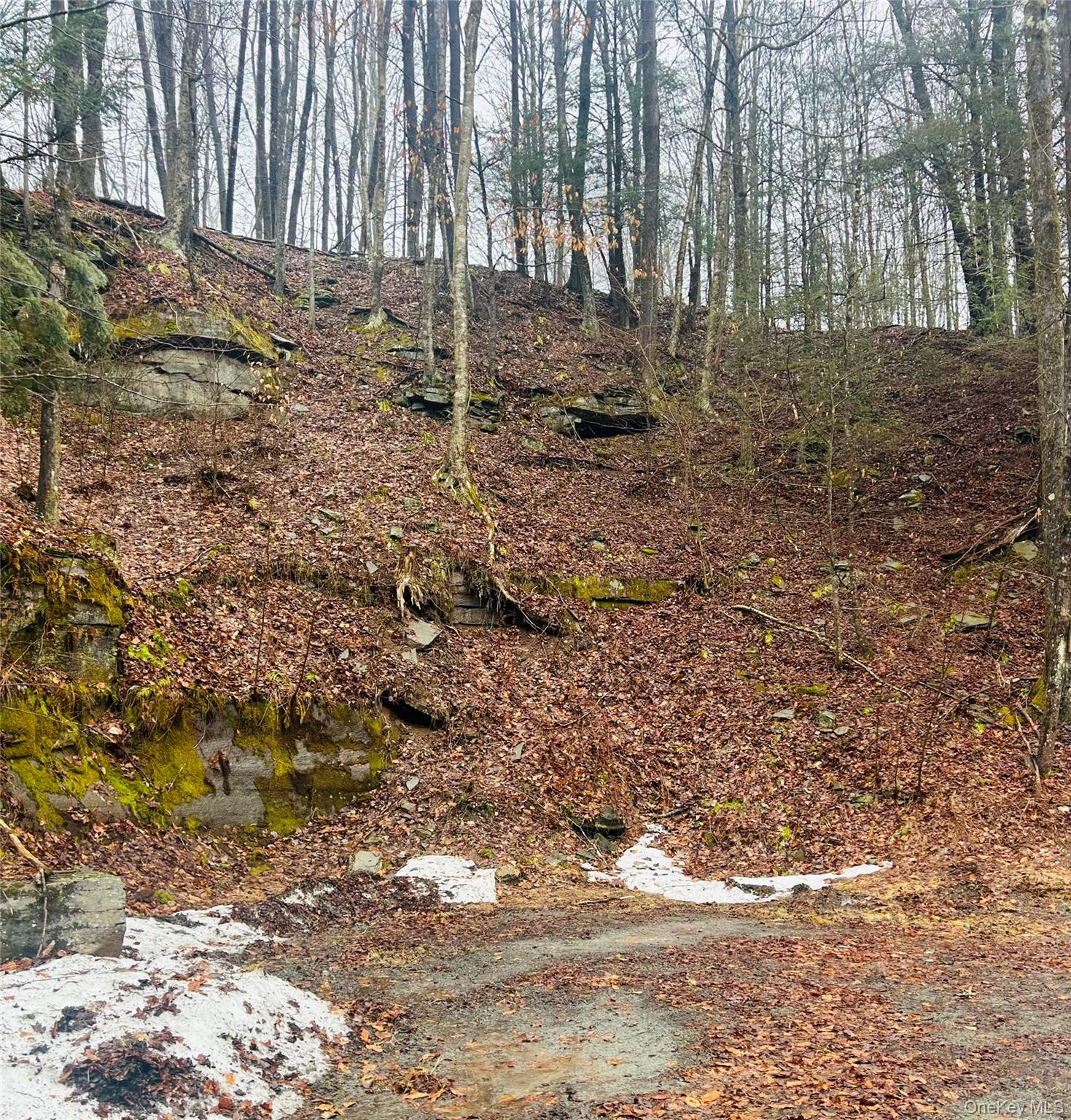 #4 photo, 395 Back Shandelee Road, 紐約州 Livingston Manor , NY 12758