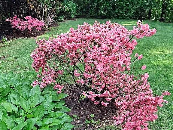 #2 photo, 64 Alpine Road, 纽约州 Yonkers , NY 10710