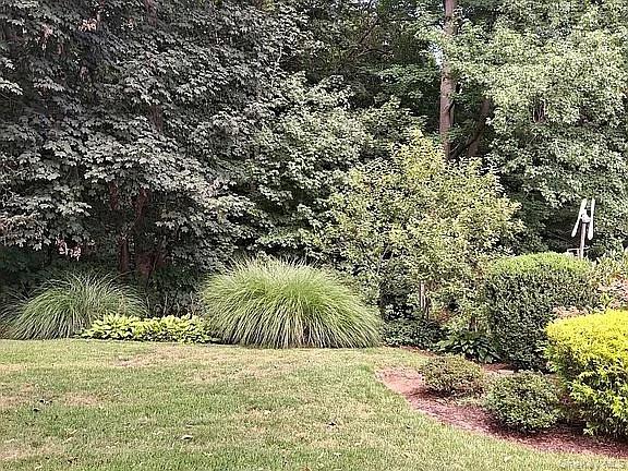 #6 photo, 64 Alpine Road, 纽约州 Yonkers , NY 10710