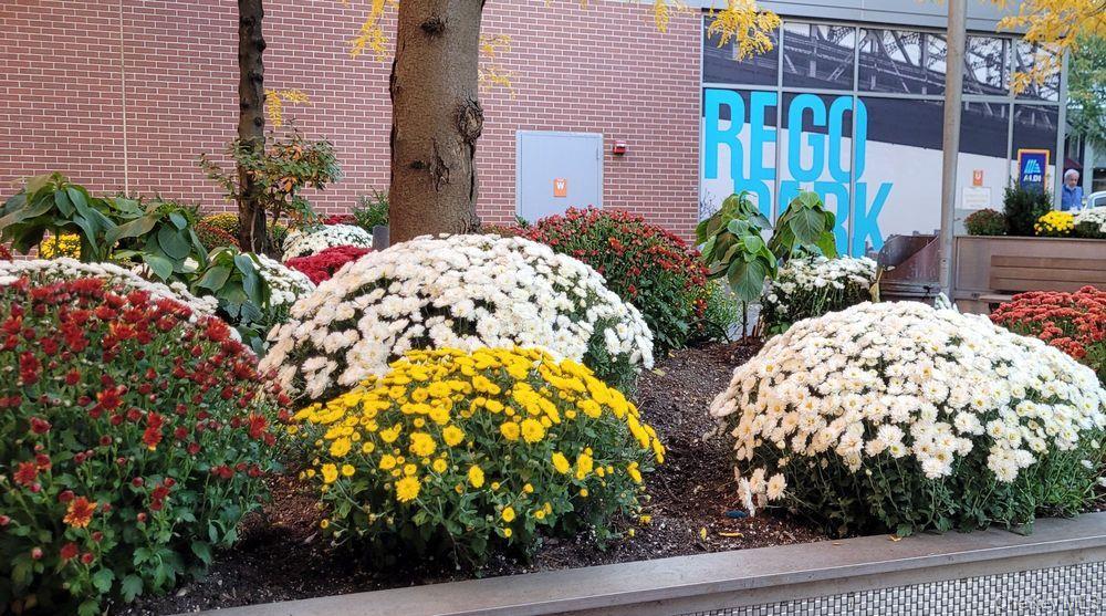 #12 photo, 61-35 98th Street, Rego Park , NY 11374