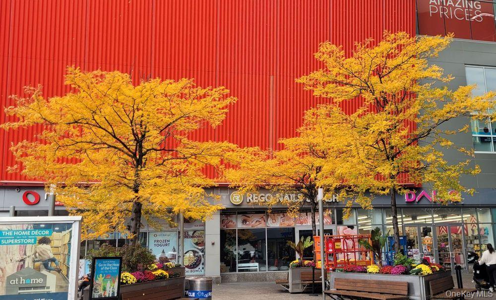 #13 photo, 61-35 98th Street, Rego Park , NY 11374