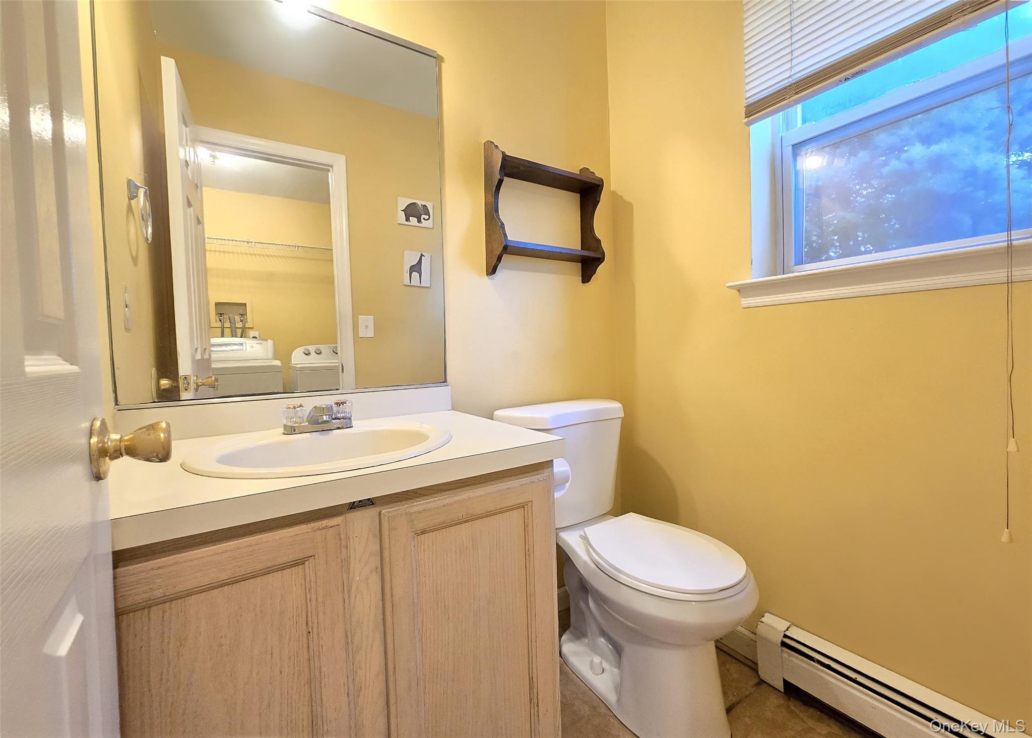 #9 photo, 23 Shamrock Lane, 东长岛 Centereach , NY 11720