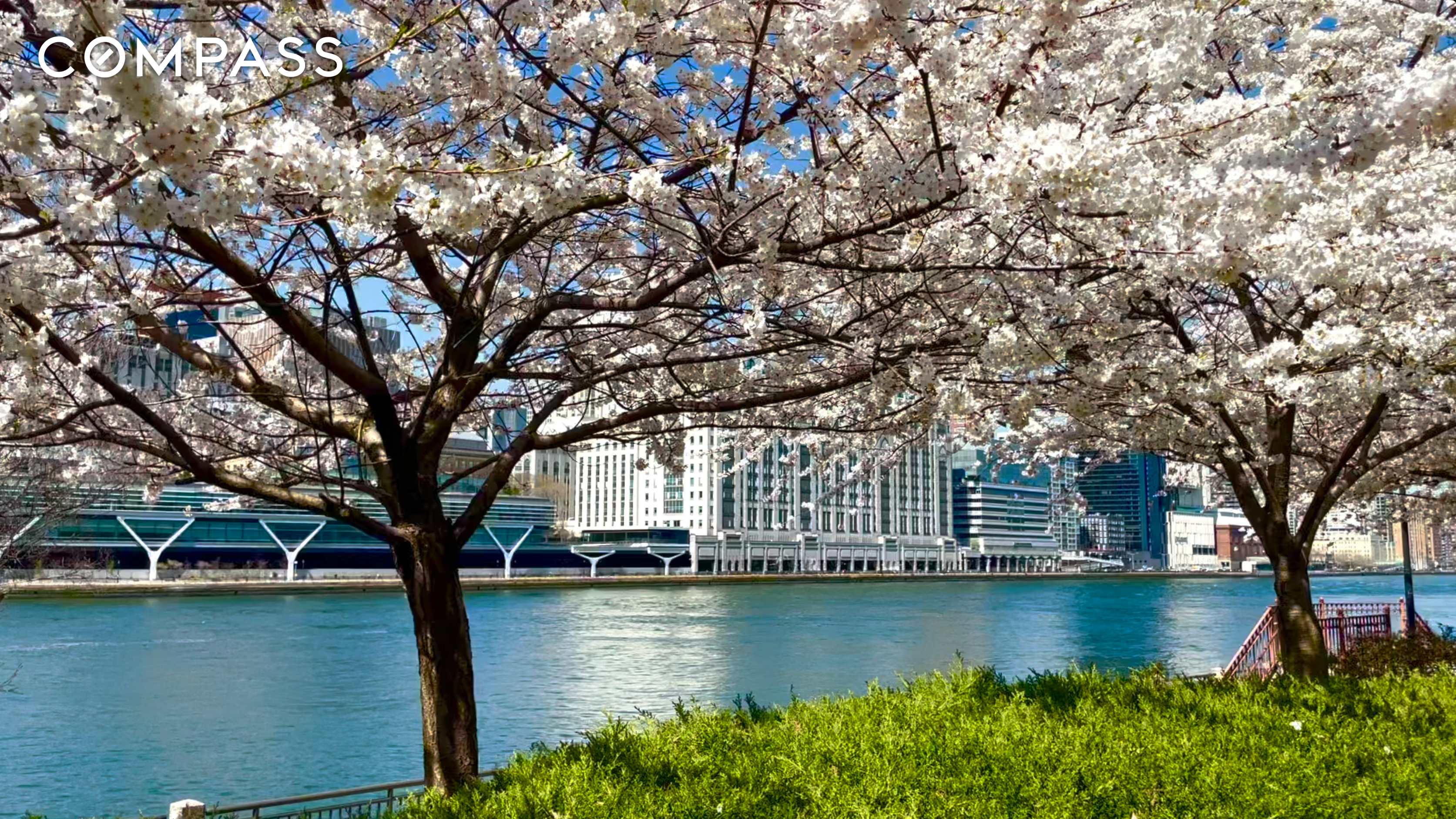 #15 photo, 555 Main Street, Манхэттен ‖ Roosevelt Island , NY 10044