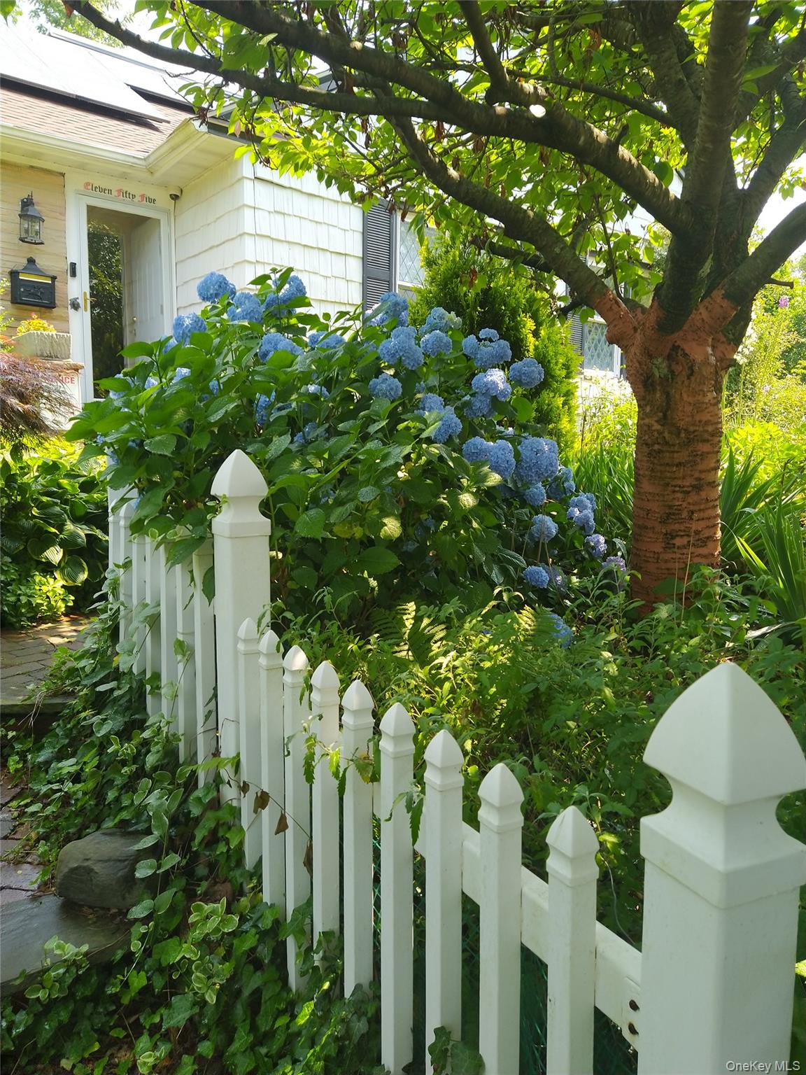 #3 photo, 1155 Webster Avenue, New Rochelle , NY 10804