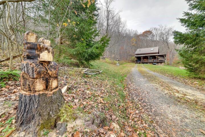 #2 photo, 680 Weed Brook Road, Walton , NY 13856