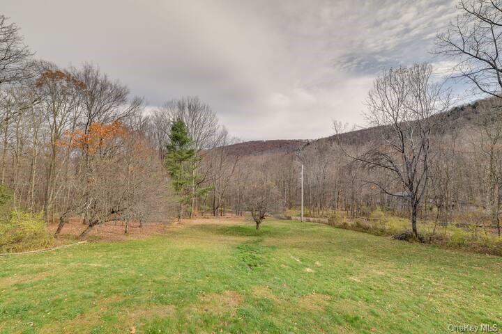#3 photo, 680 Weed Brook Road, Walton , NY 13856