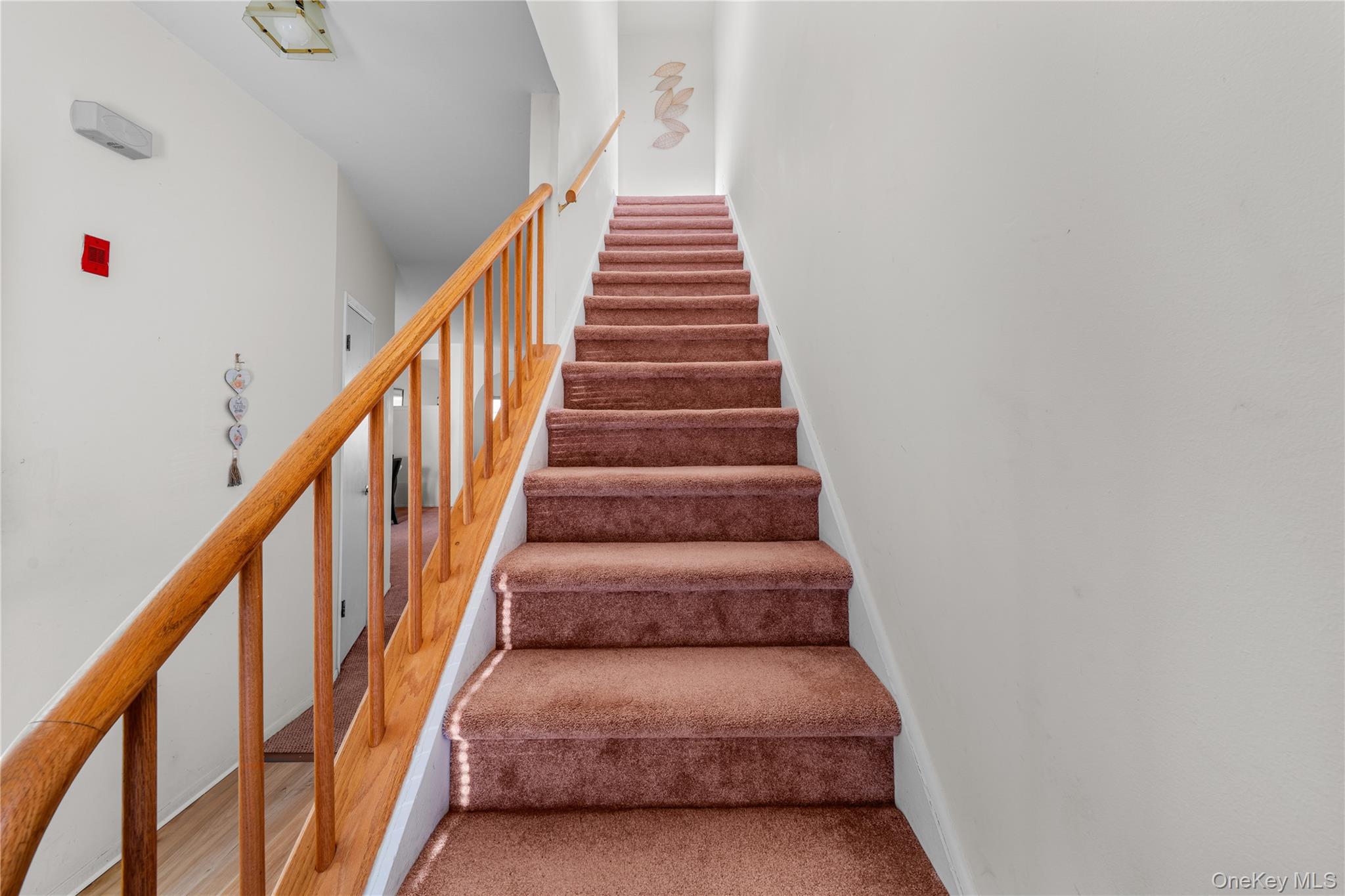 #19 photo, 738 Birchwood Park Drive, 東長島 Middle Island , NY 11953