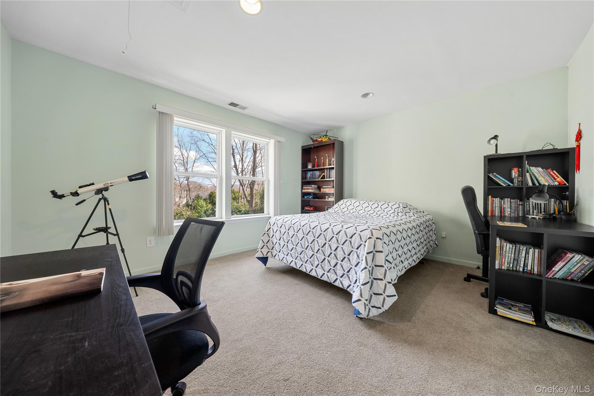 #14 photo, 23 Varsity Boulevard, East Setauket , NY 11733