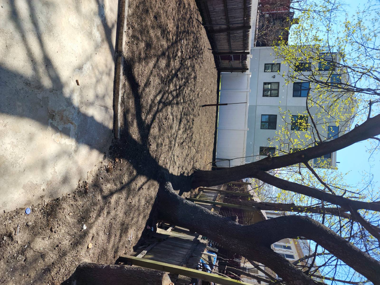 #11 photo, 108-46 153rd Street, Queens , NY 11433