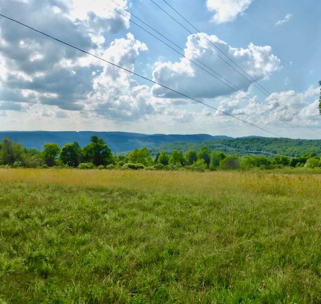 #10 photo, 368 Ridge Rd, 纽约州 Hamden , NY 13782