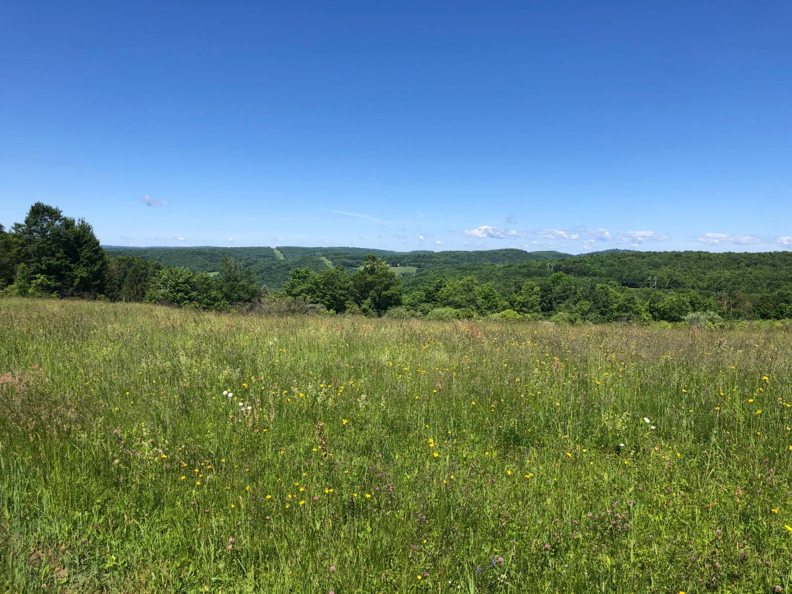 #11 photo, 368 Ridge Rd, 纽约州 Hamden , NY 13782