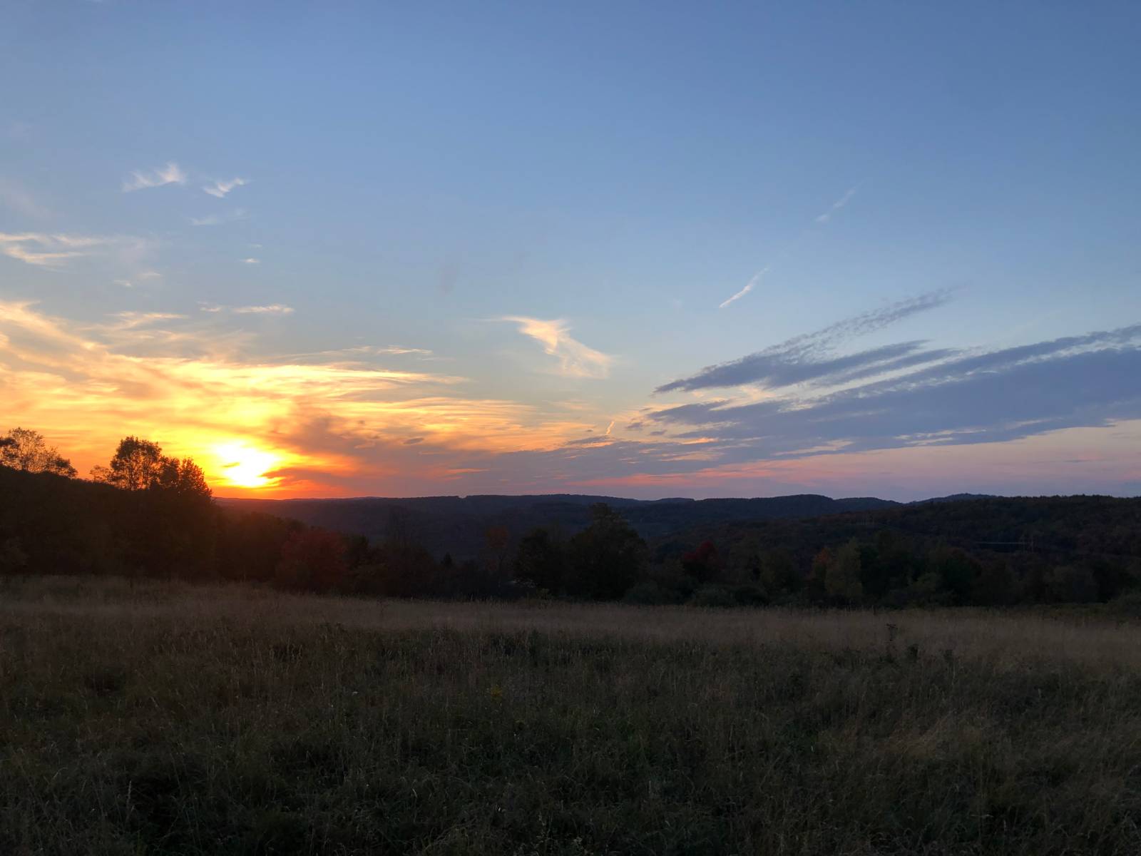 #13 photo, 368 Ridge Rd, 纽约州 Hamden , NY 13782